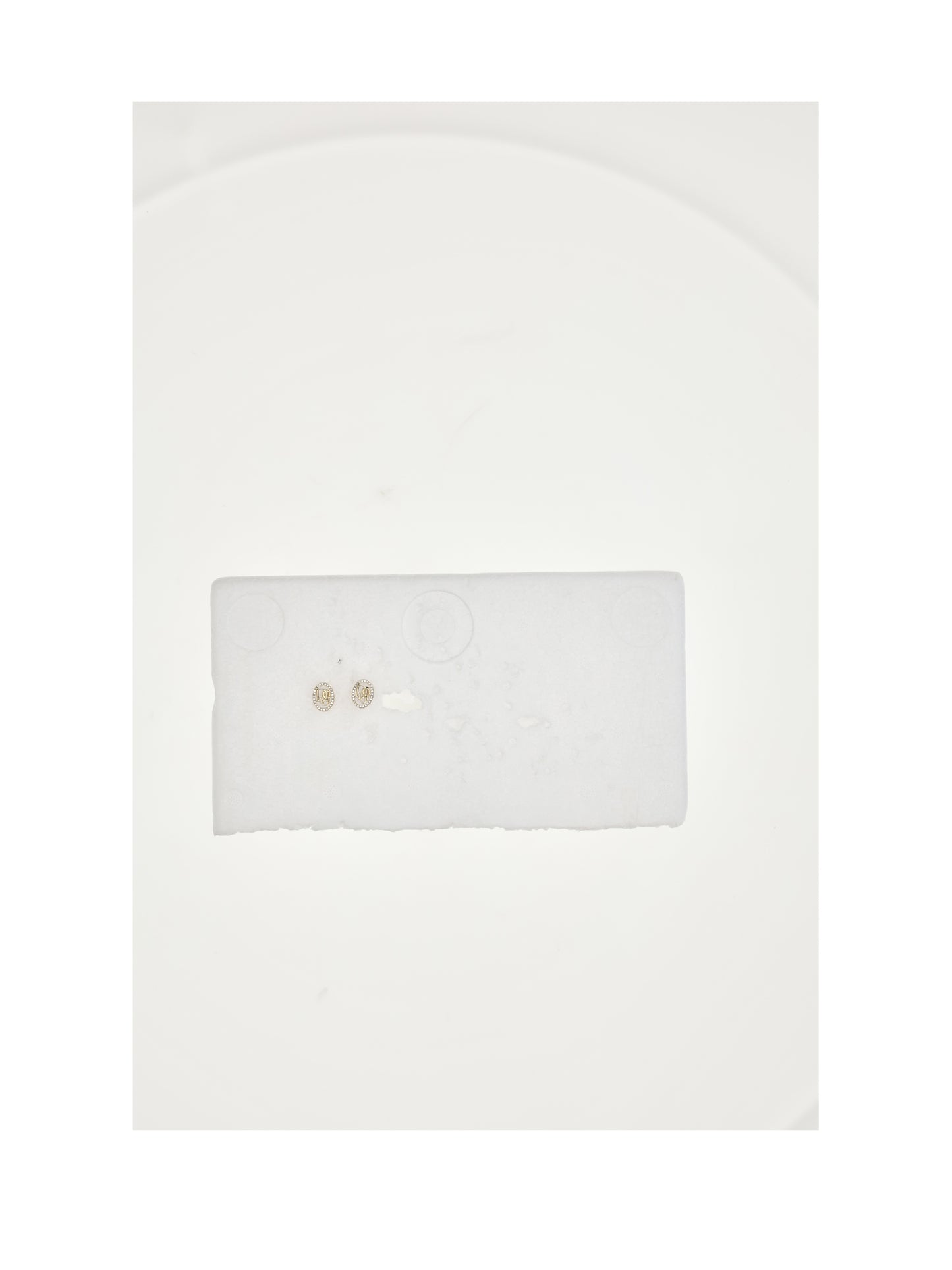 Dior Women Dior Oblique Earrings CHRISTIAN DIOR