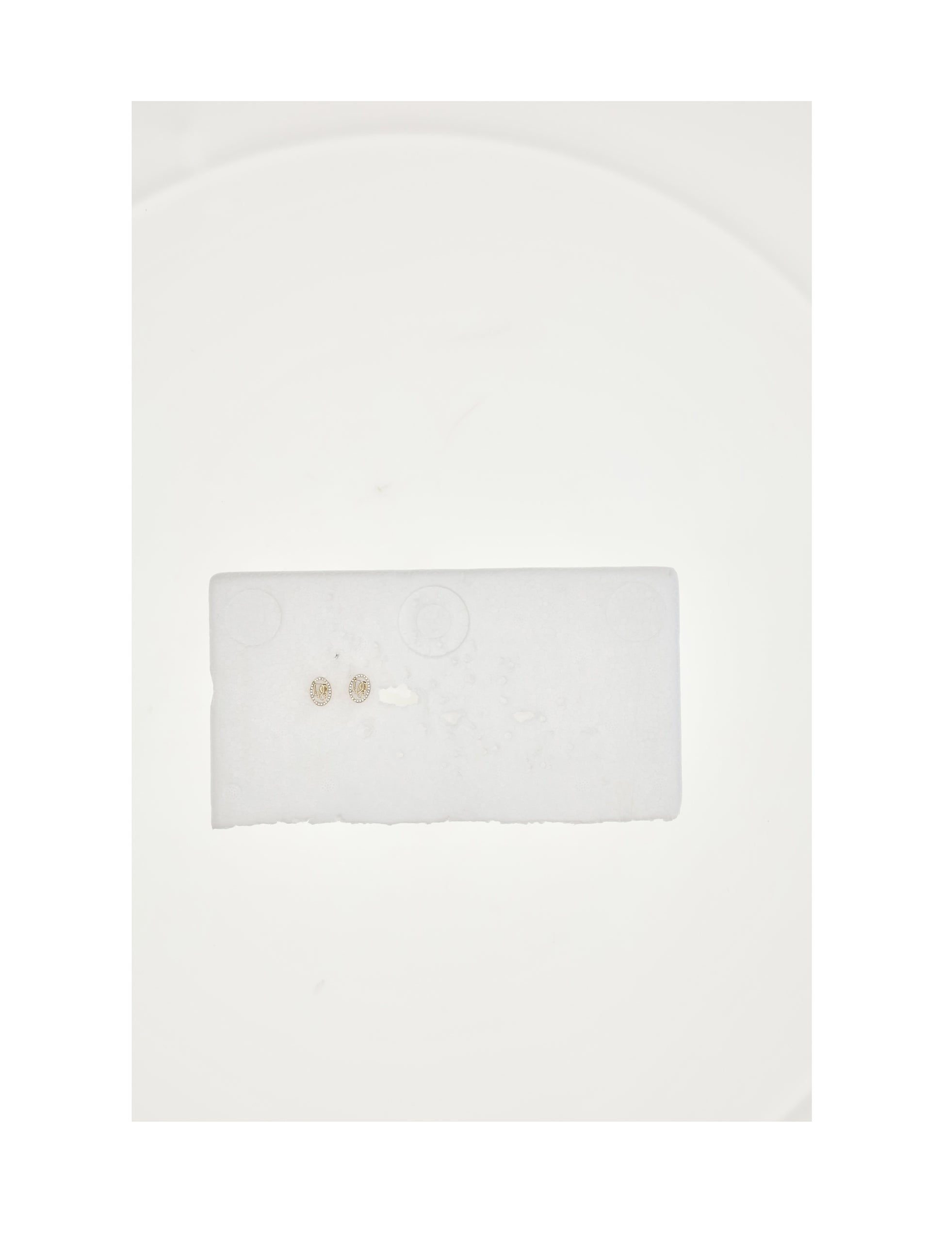 Dior Women Dior Oblique Earrings CHRISTIAN DIOR