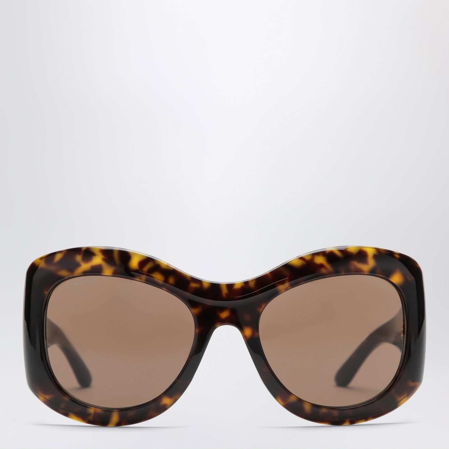 Gucci Round Havana Acetate Sunglasses Women GUCCI