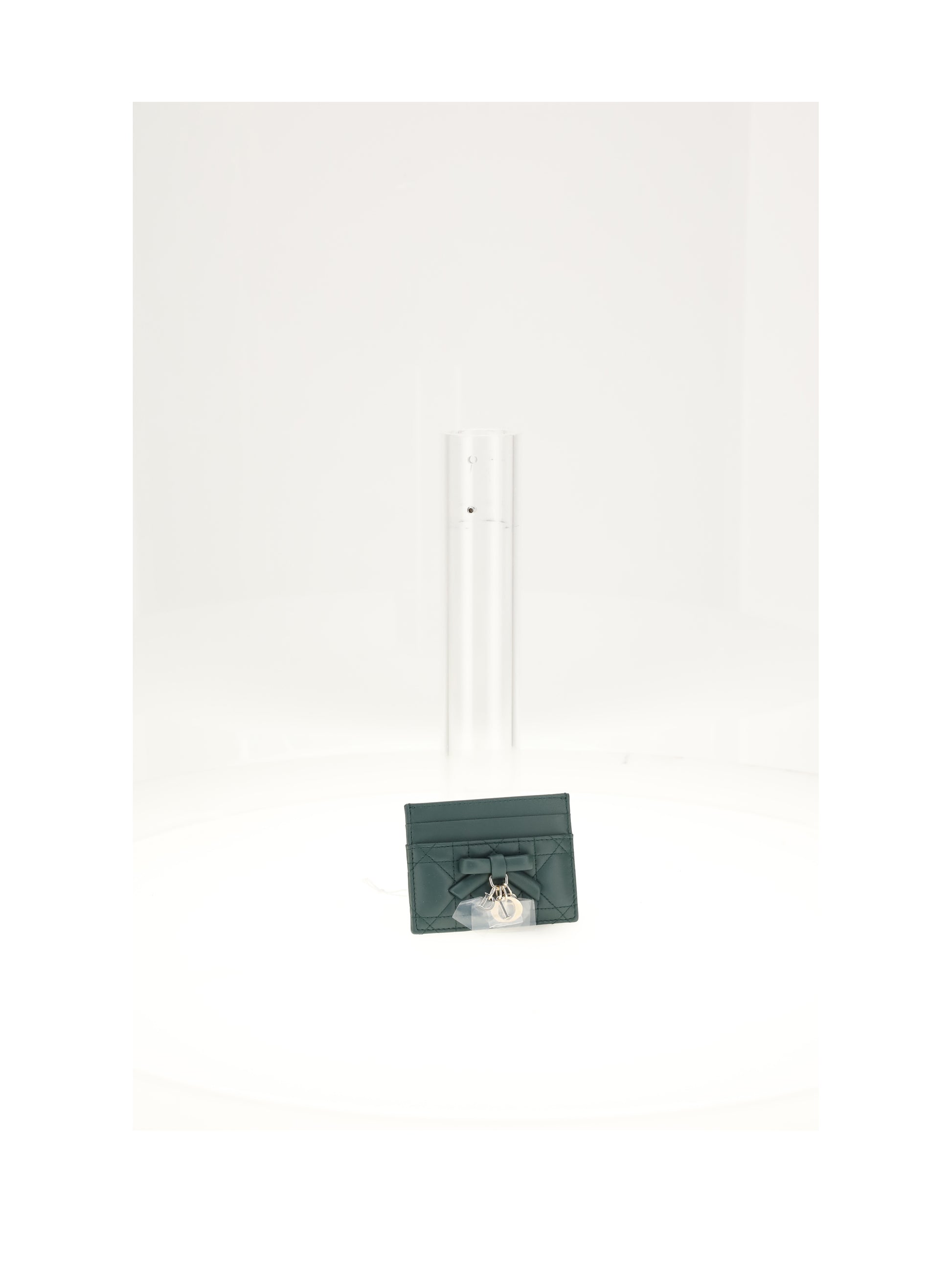 Dior Women Small Shape CHRISTIAN DIOR