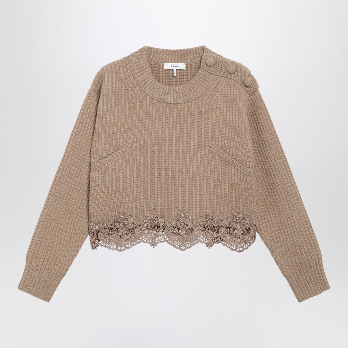 Chloe Cropped Turtleneck Sweater In Wool-Cashmere Bleached Brown Women CHLOE