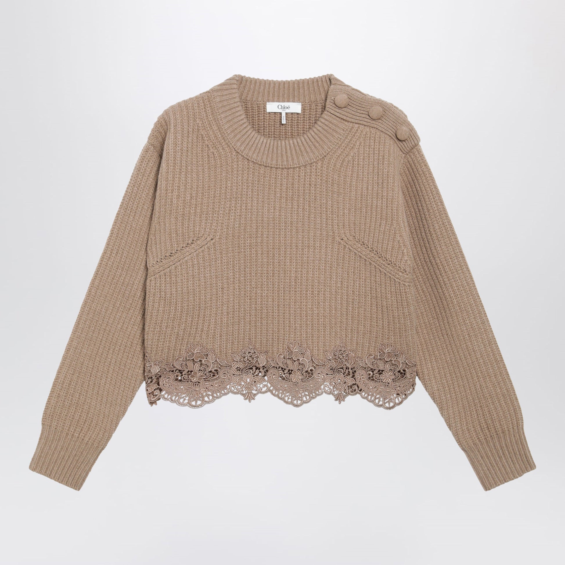 Chloe Cropped Turtleneck Sweater In Wool-Cashmere Bleached Brown Women CHLOE