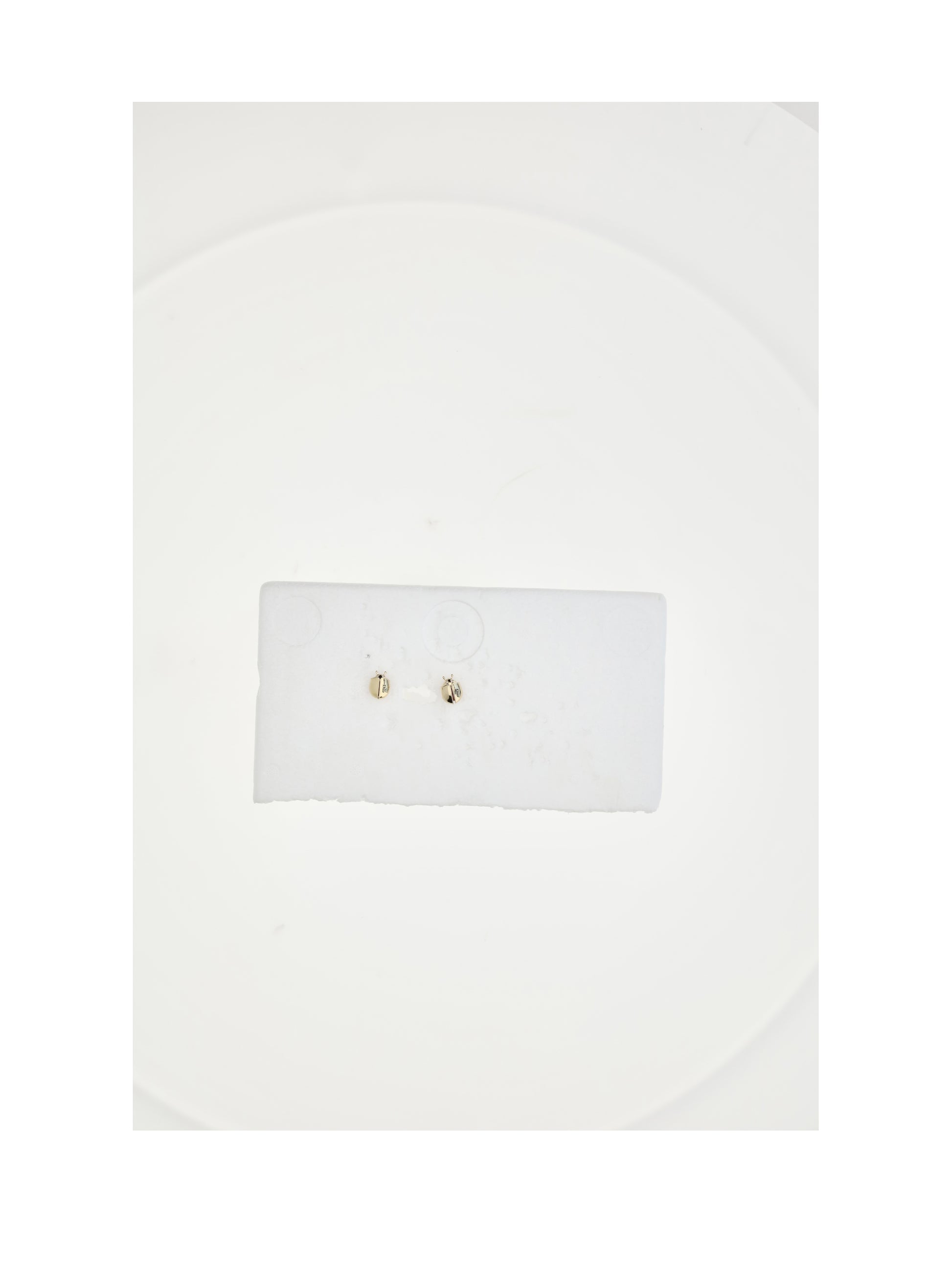 Dior Women Lady Spark Earrings CHRISTIAN DIOR