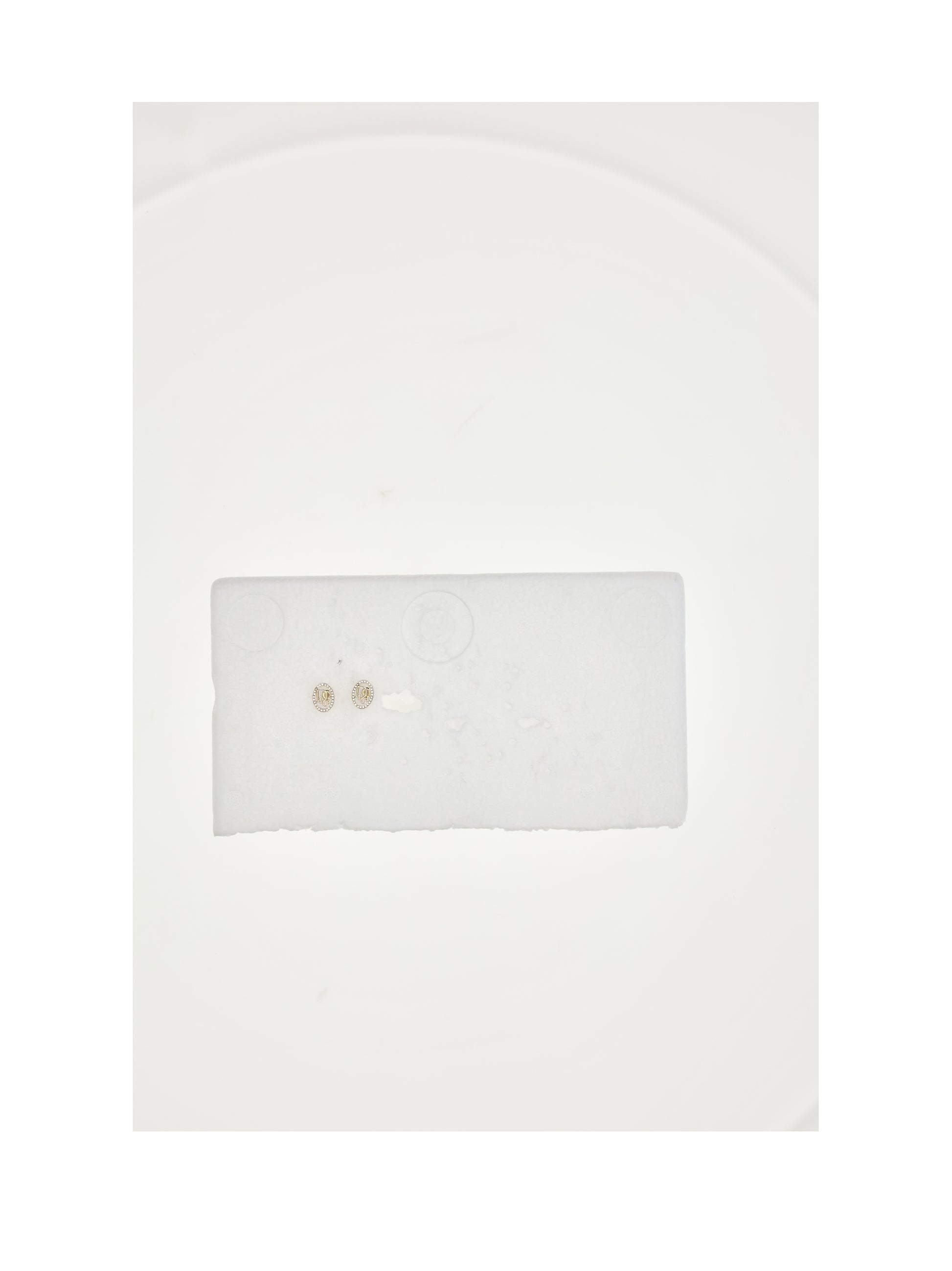Dior Women Dior Oblique Earrings CHRISTIAN DIOR