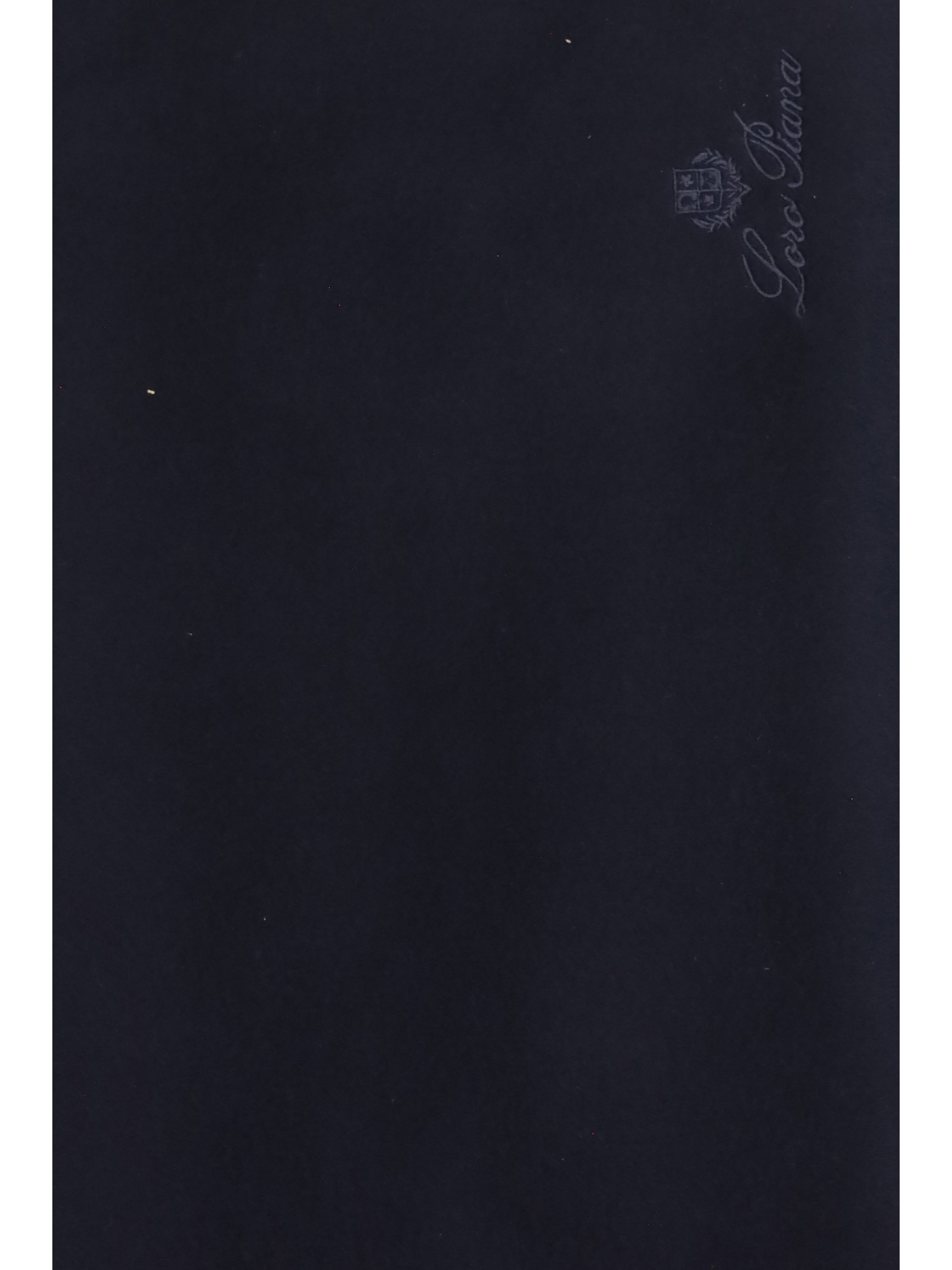 Loro Piana Men Cashmere Scarf LORO PIANA