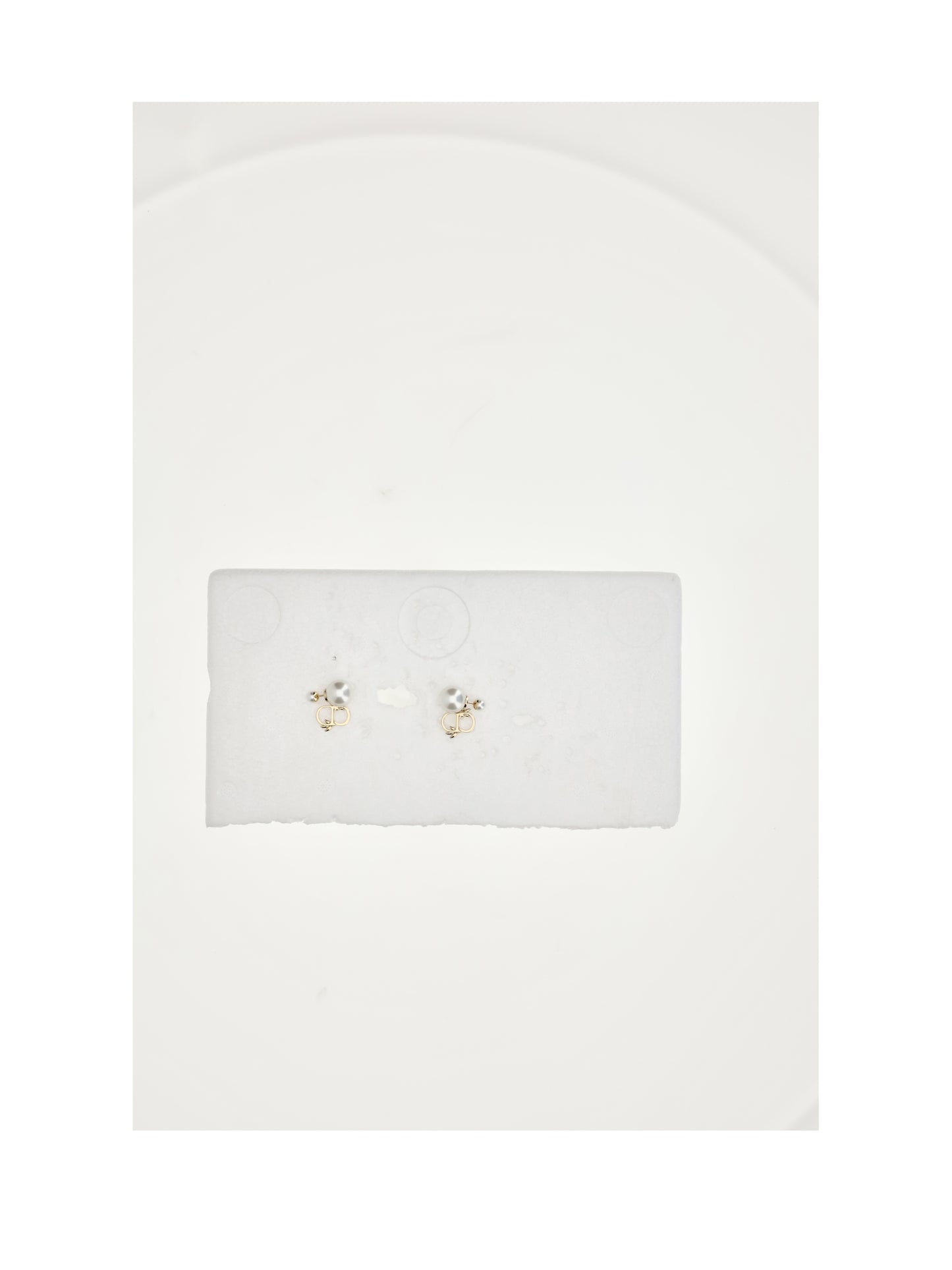 Dior Women Tribales Mini Lily CHRISTIAN DIOR