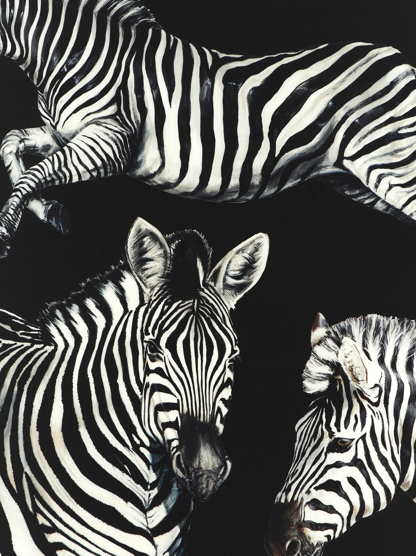 Dolce & Gabbana Women Zebra Print Scarf DOLCE & GABBANA