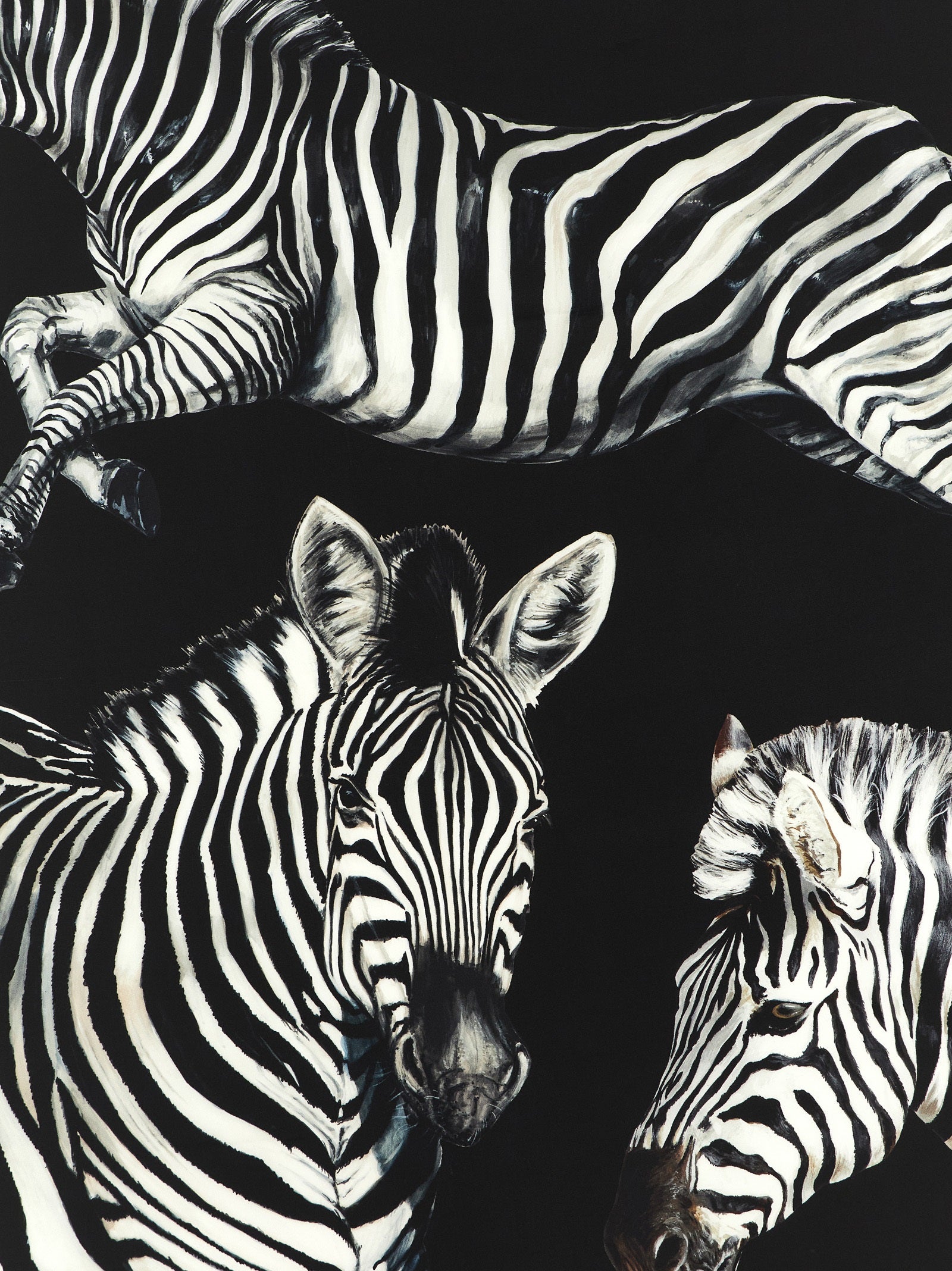 Dolce & Gabbana Women Zebra Print Scarf DOLCE & GABBANA