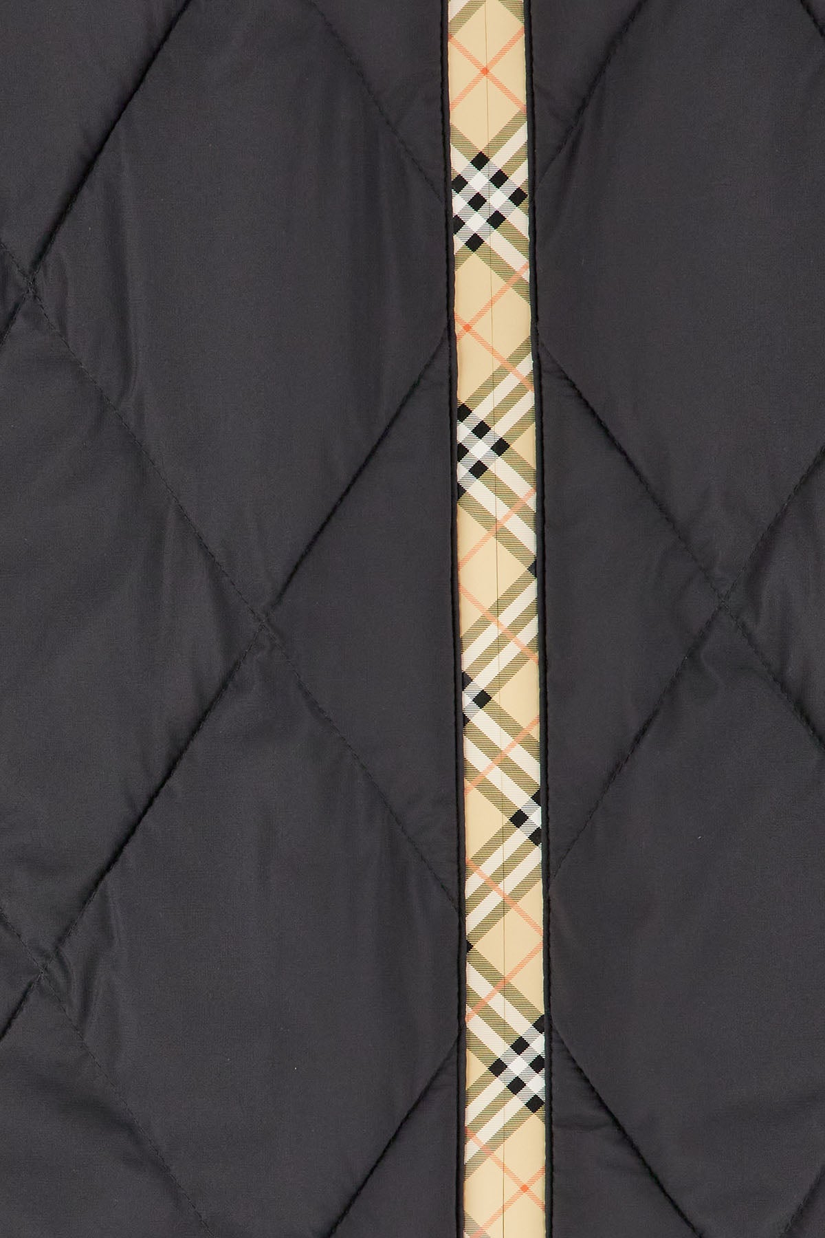 Burberry Man Clothing Jackets BURBERRY