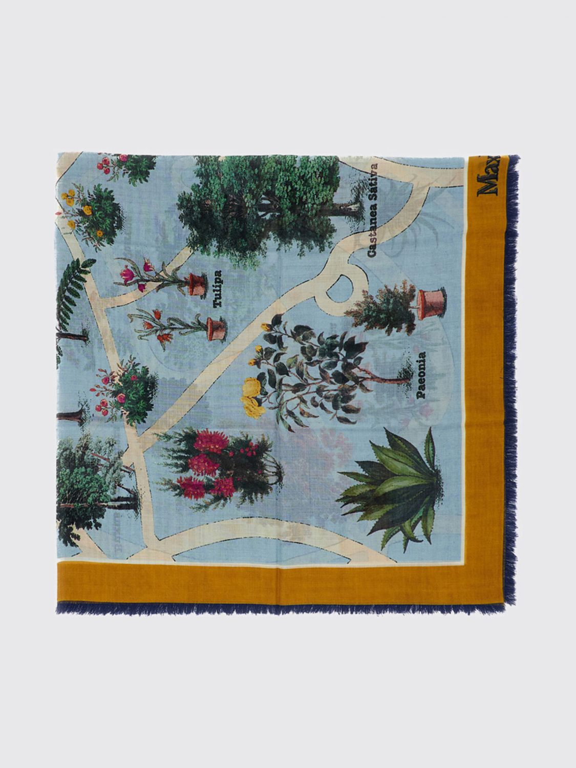 Max Mara Scarf Woman Multicolor MAX MARA