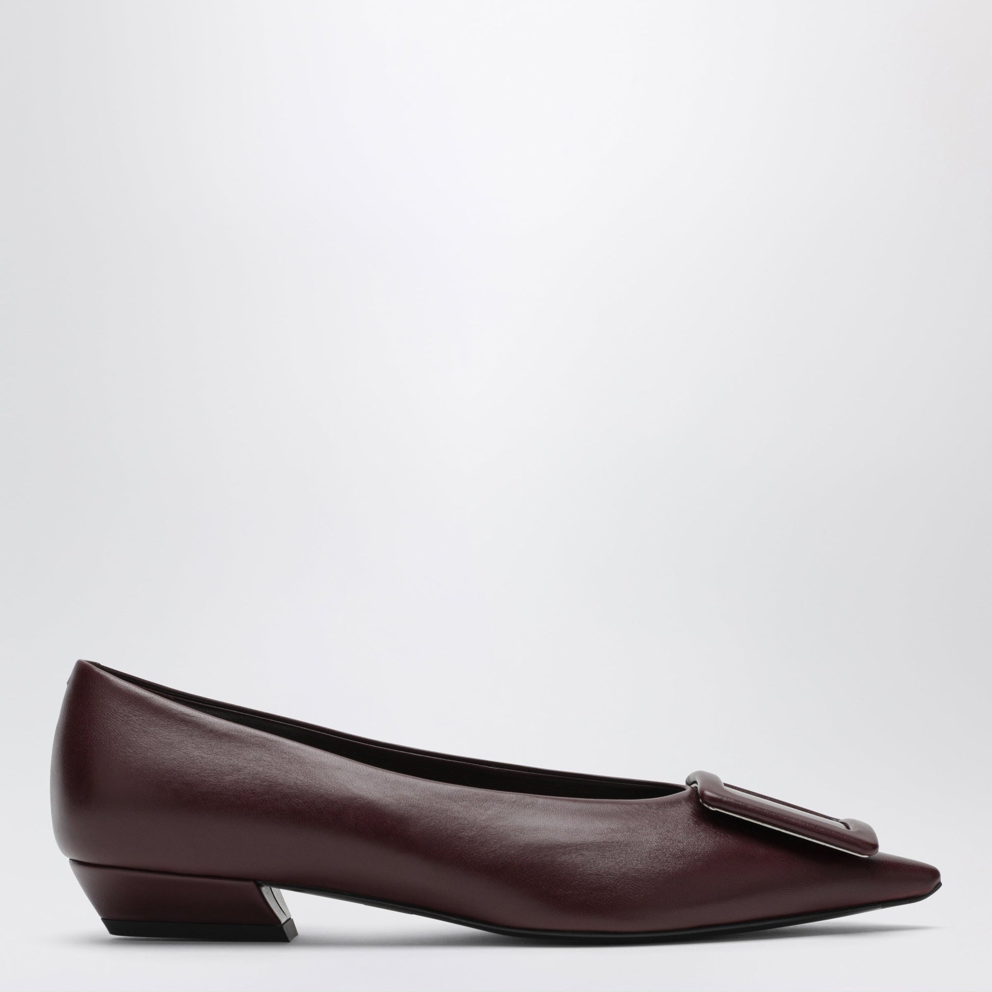Roger Vivier Gommettine Ballerina In Mosto-Coloured Leather Women ROGER VIVIER