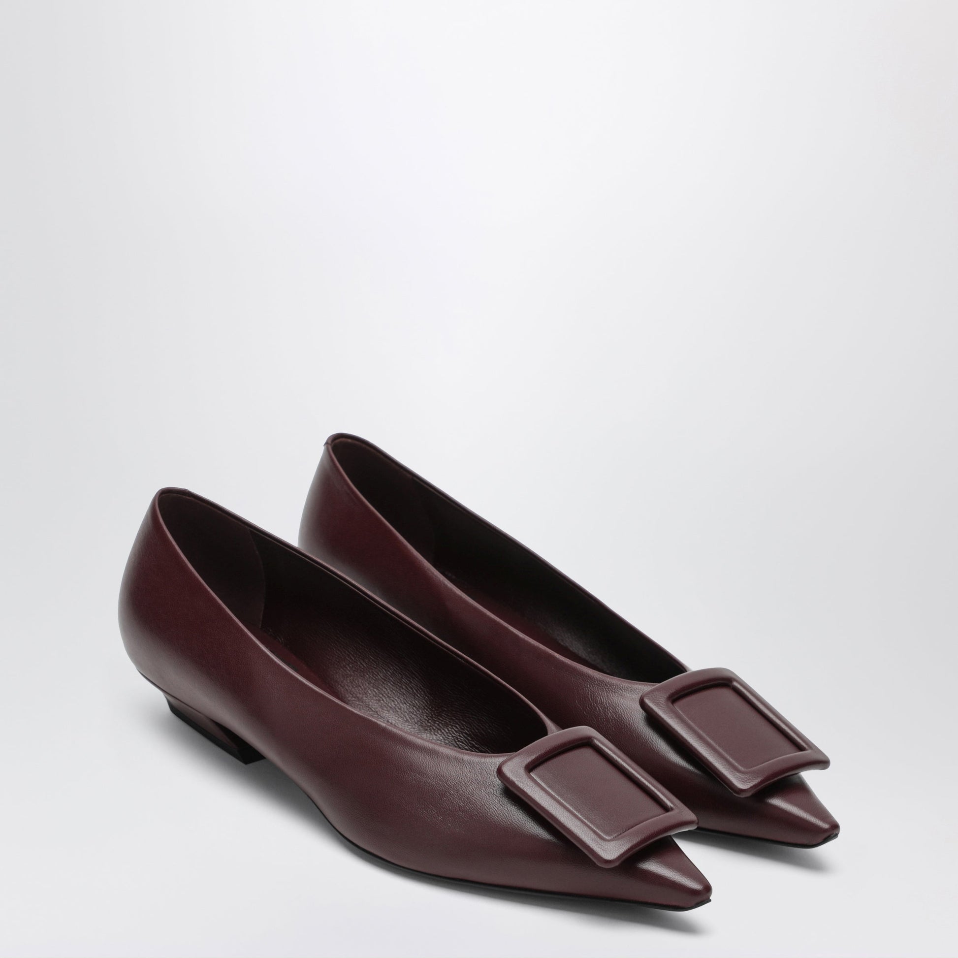 Roger Vivier Gommettine Ballerina In Mosto-Coloured Leather Women ROGER VIVIER