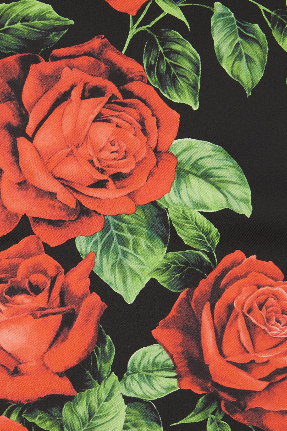 Dolce&Gabbana Woman Accessories Scarves & Shawls DOLCE & GABBANA