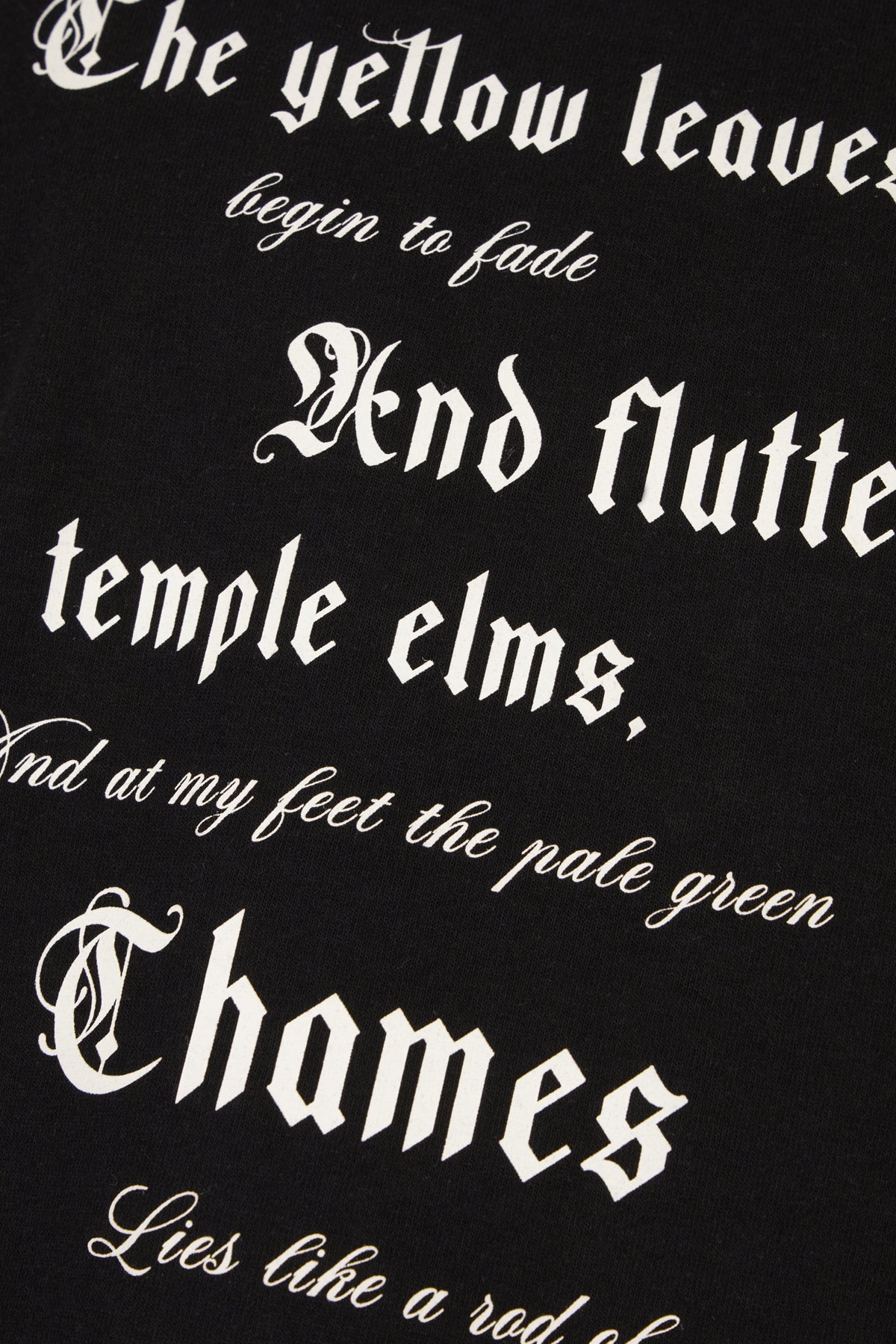 Alexander Mcqueen Man Clothing T-Shirt ALEXANDER MCQUEEN
