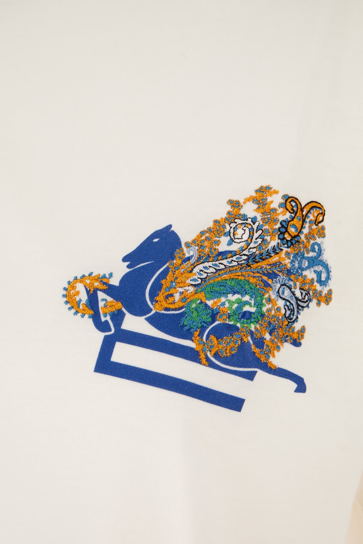 Etro Woman Clothing T-Shirt ETRO