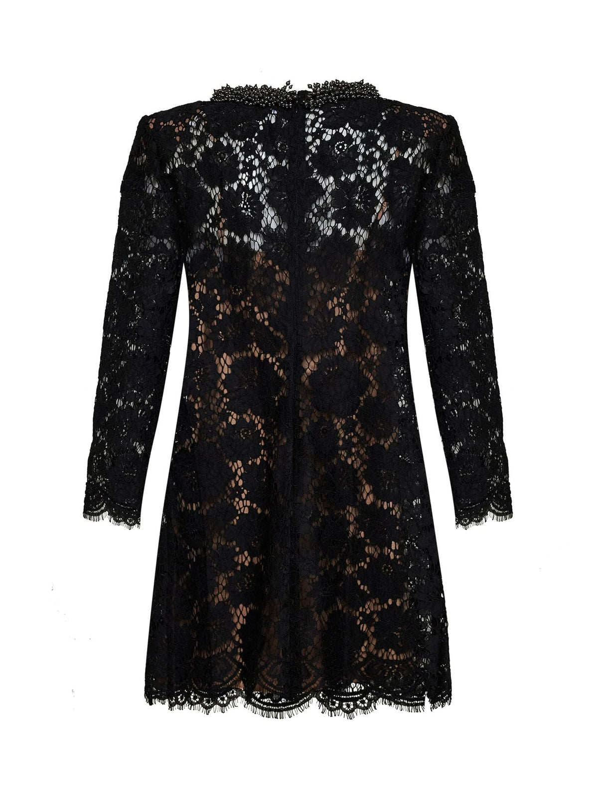 Self Portrait Women Black Lace Long-Sleeved Mini Dress SELF-PORTRAIT