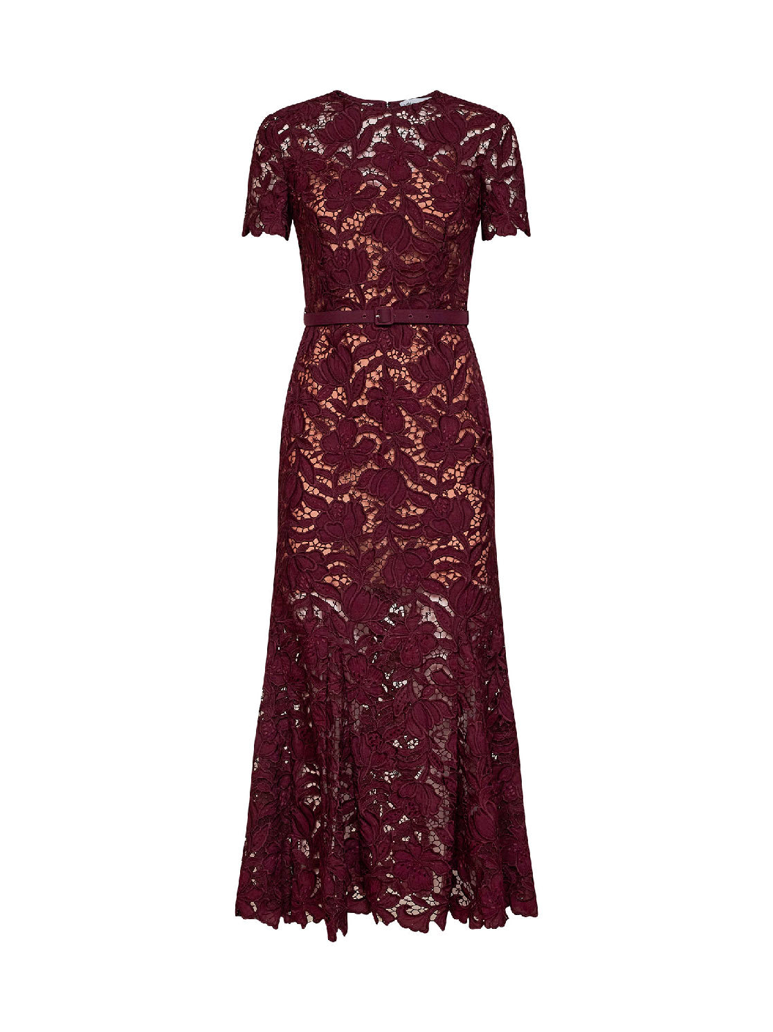 Self Portrait Women Burgundy Macramé Lace Belted Midi Dress SELF-PORTRAIT