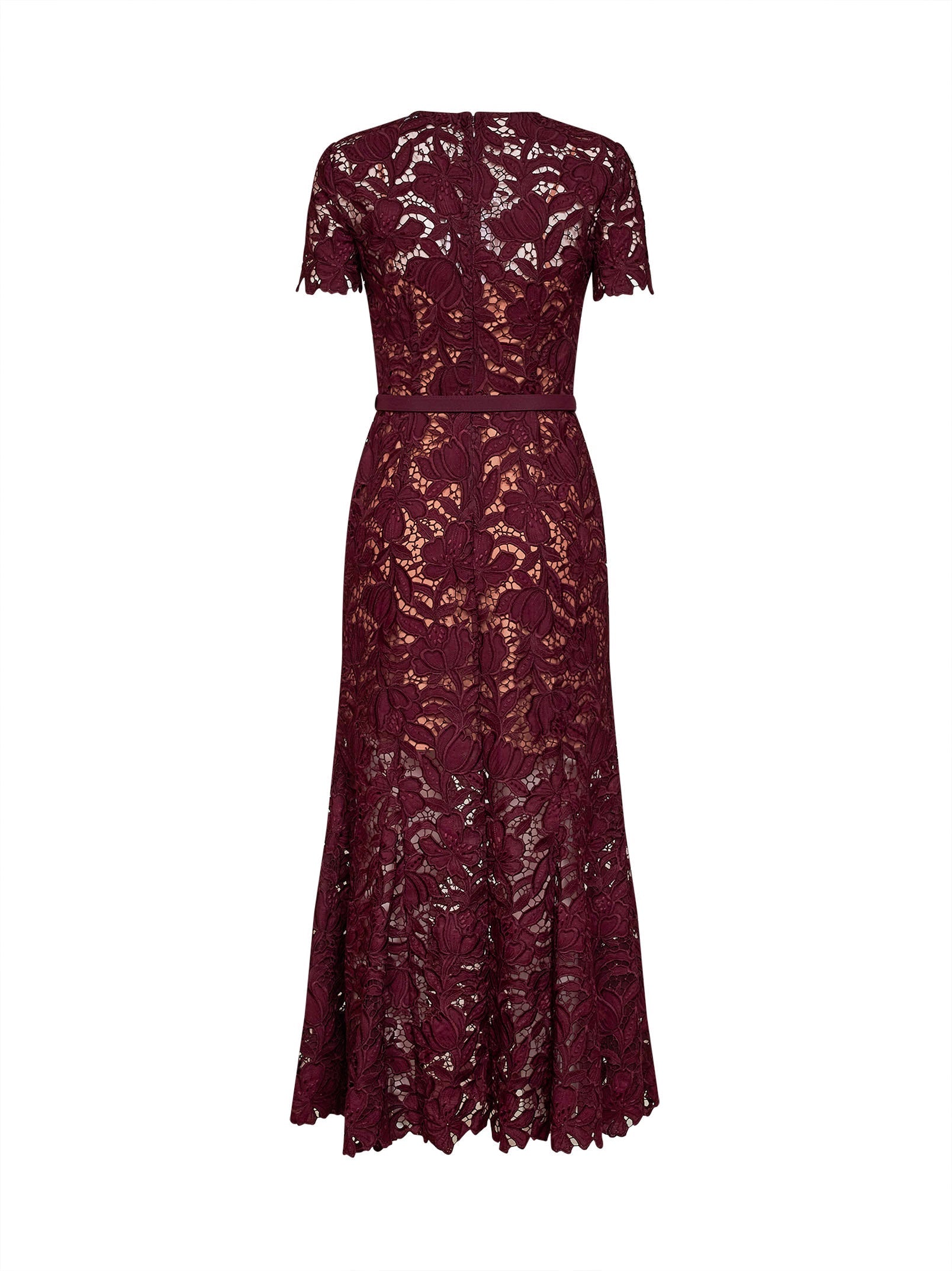Self Portrait Women Burgundy Macramé Lace Belted Midi Dress SELF-PORTRAIT