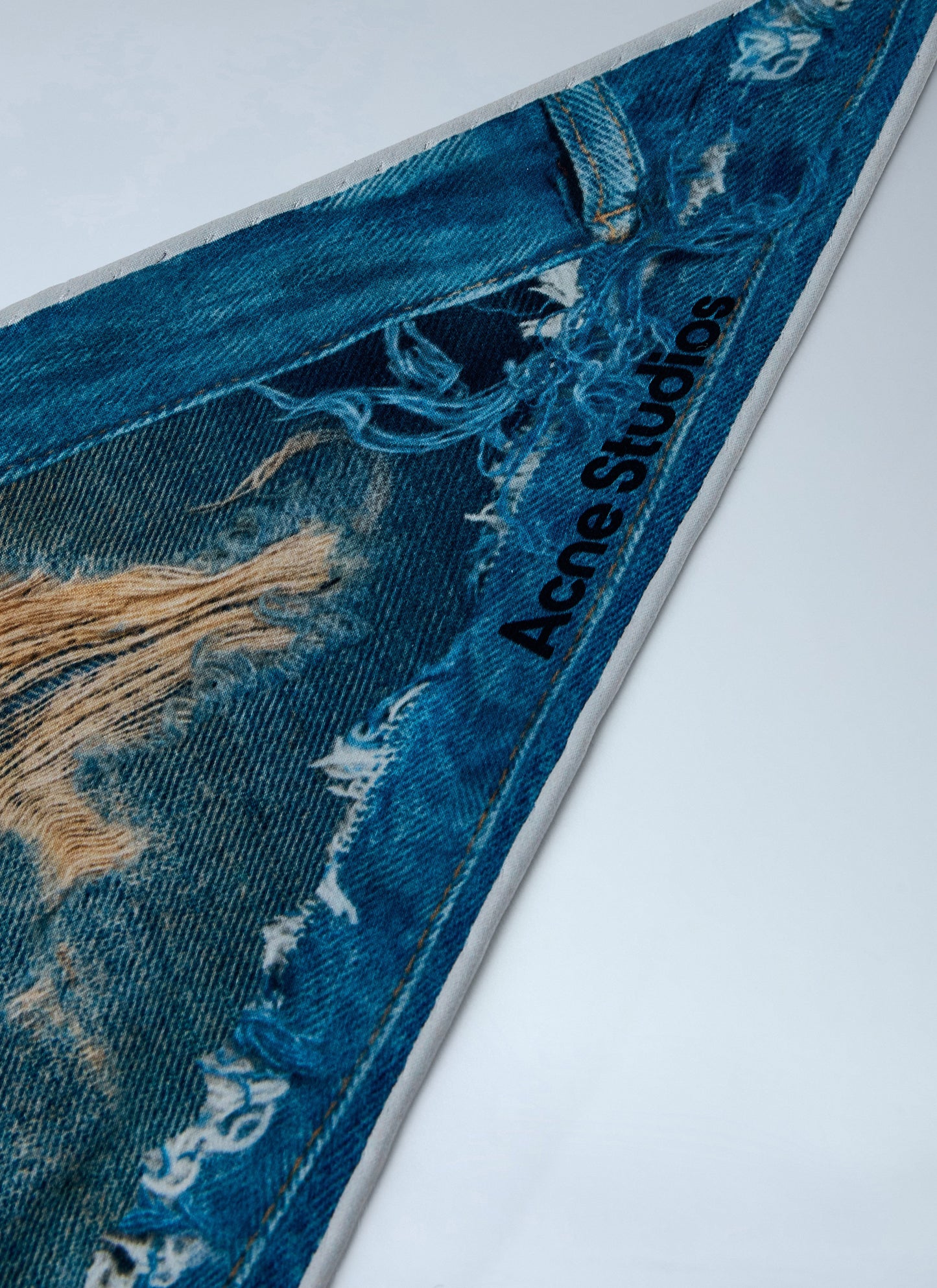 Acne Studios Women Printed Silk Scarf ACNE STUDIOS