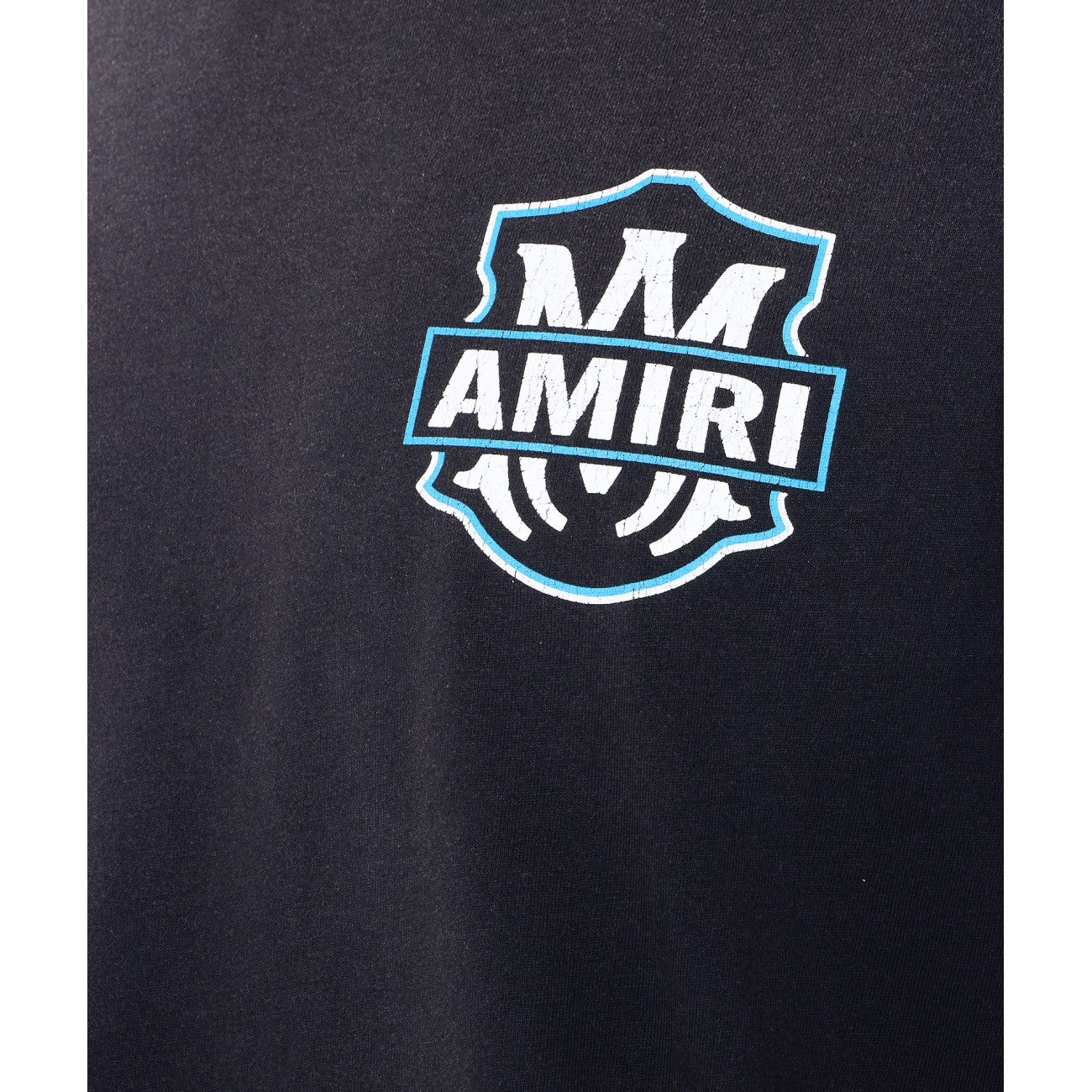 Amiri Men Amiri Eagle Flames Long Sleeves T-Shirt AMIRI