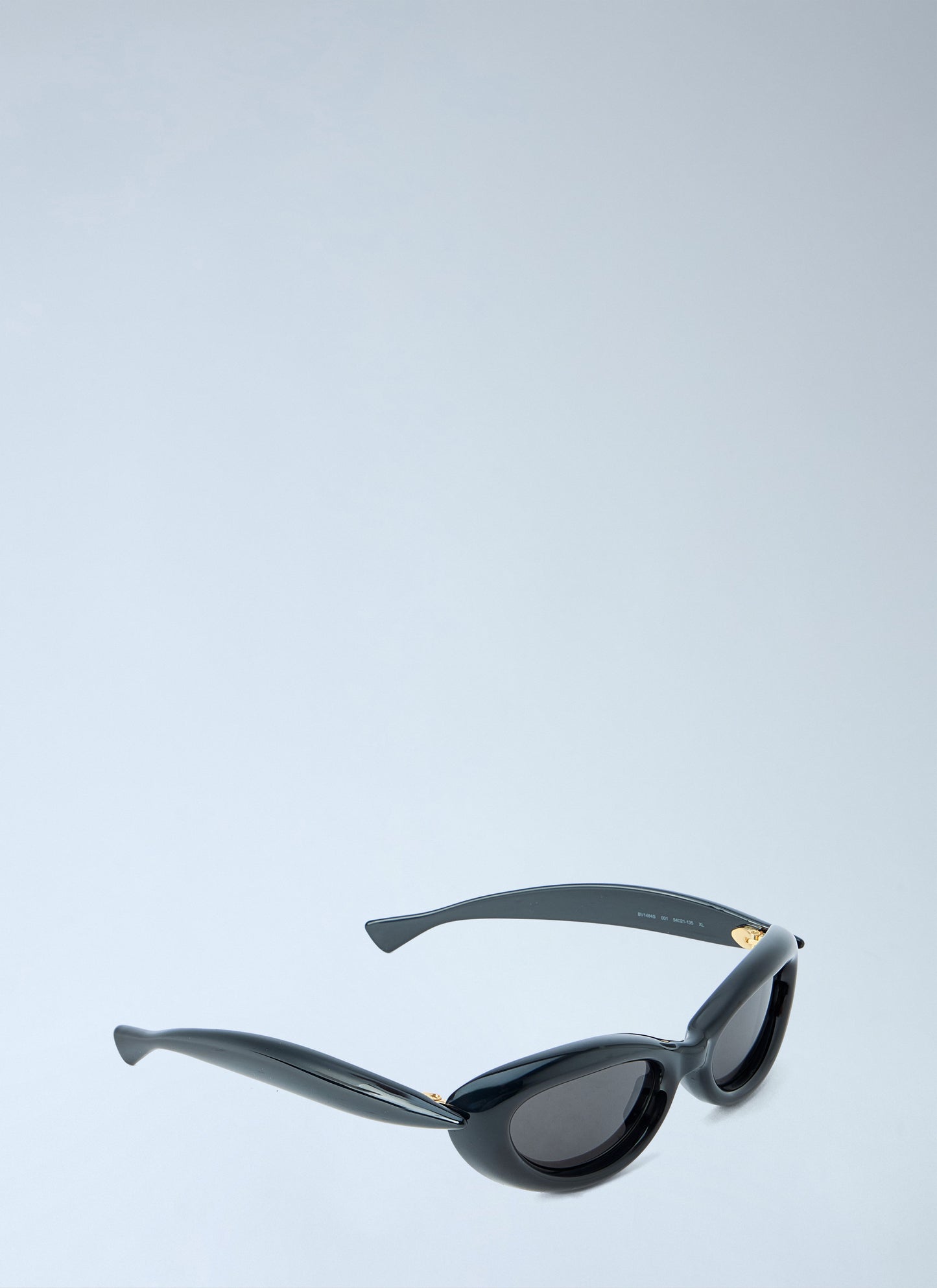 Bottega Veneta Women Sardine Oval Sunglasses BOTTEGA VENETA