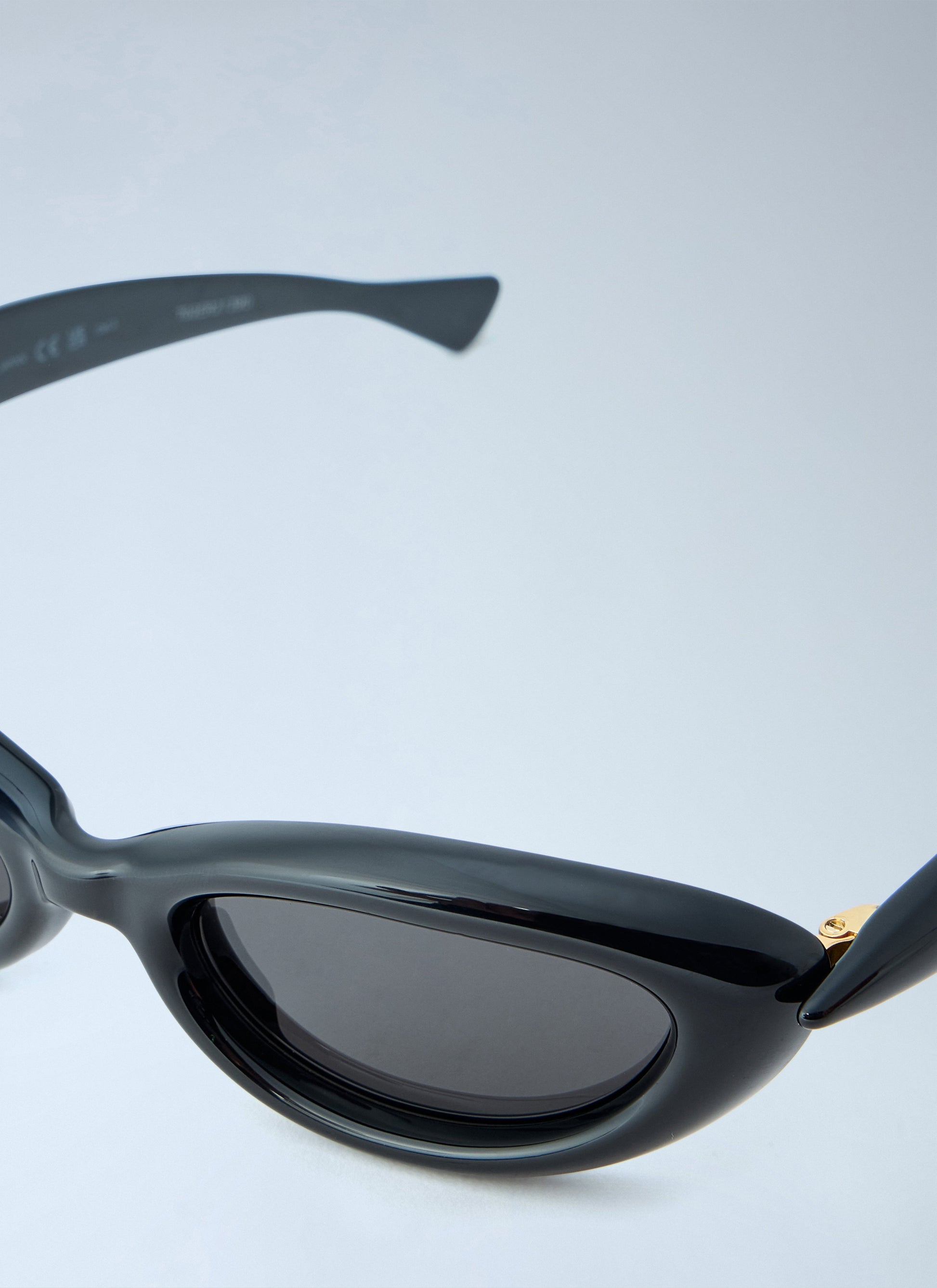 Bottega Veneta Women Sardine Oval Sunglasses BOTTEGA VENETA