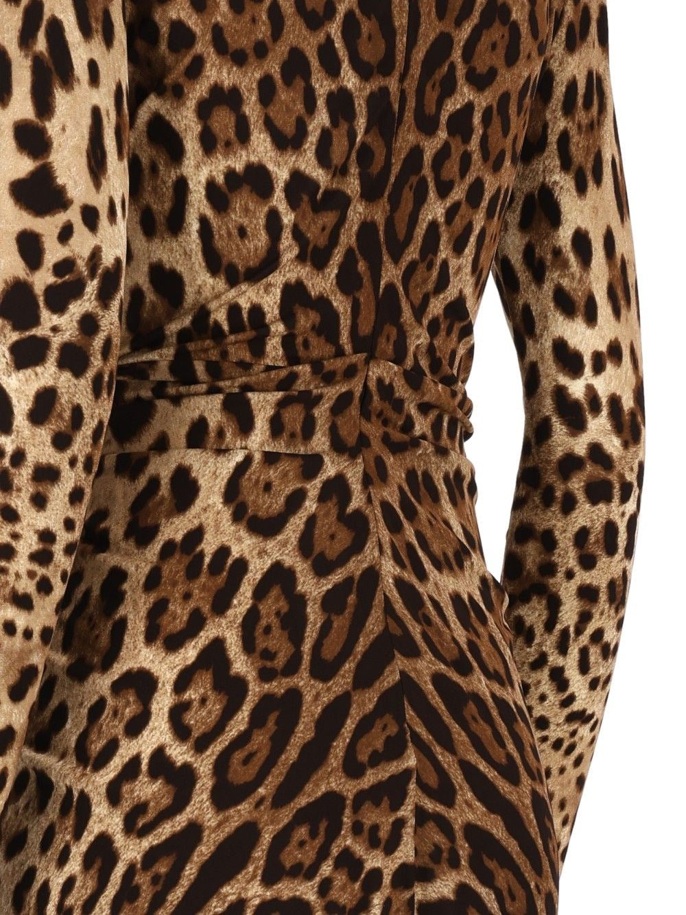 Dolce & Gabbana Women Viscose Jersey Dress With A Leopard Print DOLCE & GABBANA