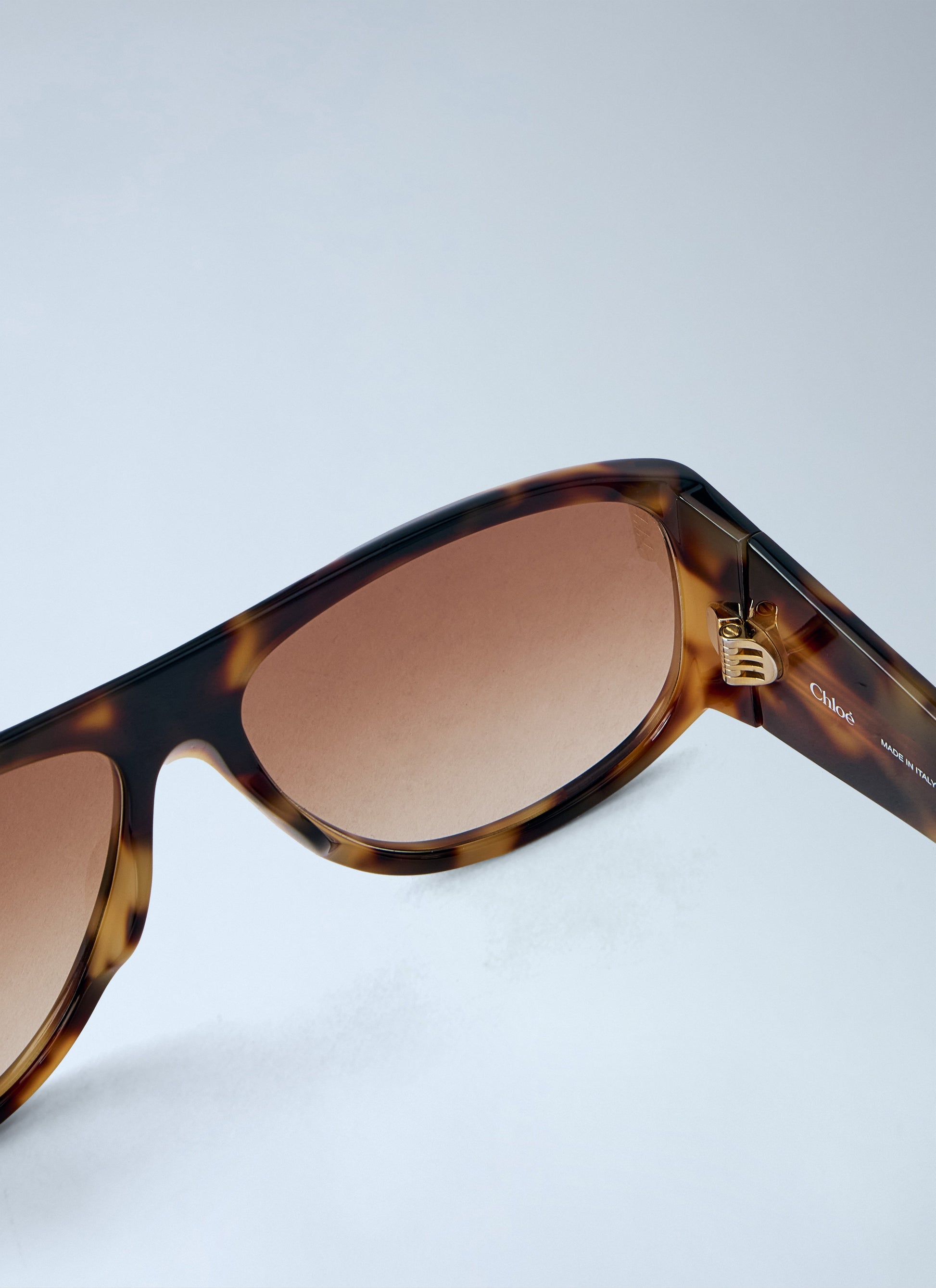 Chloé Women Izia Sunglasses CHLOE