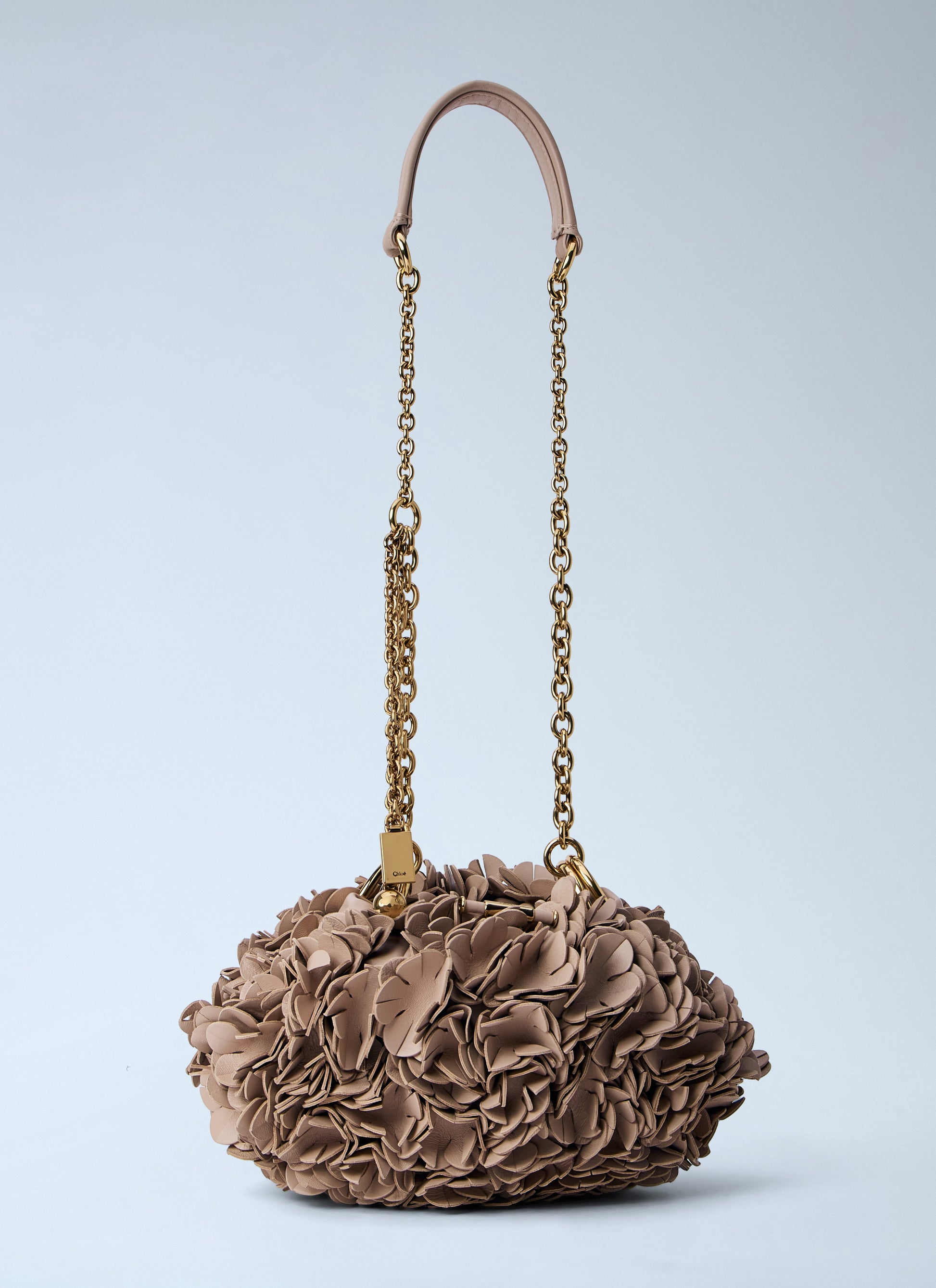 Chloé Women Floral Appliqué Chain Bag CHLOE