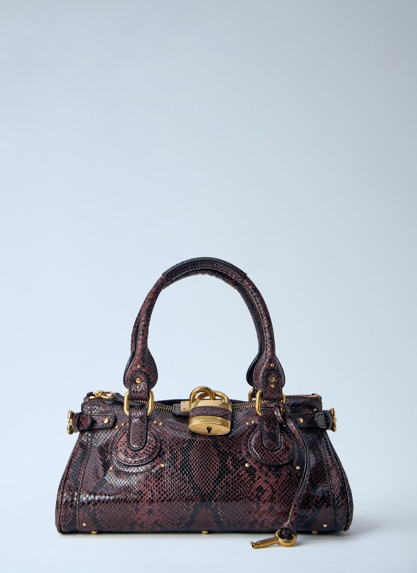 Chloé Women Paddington Embossed Python Effect Shoulder Bag