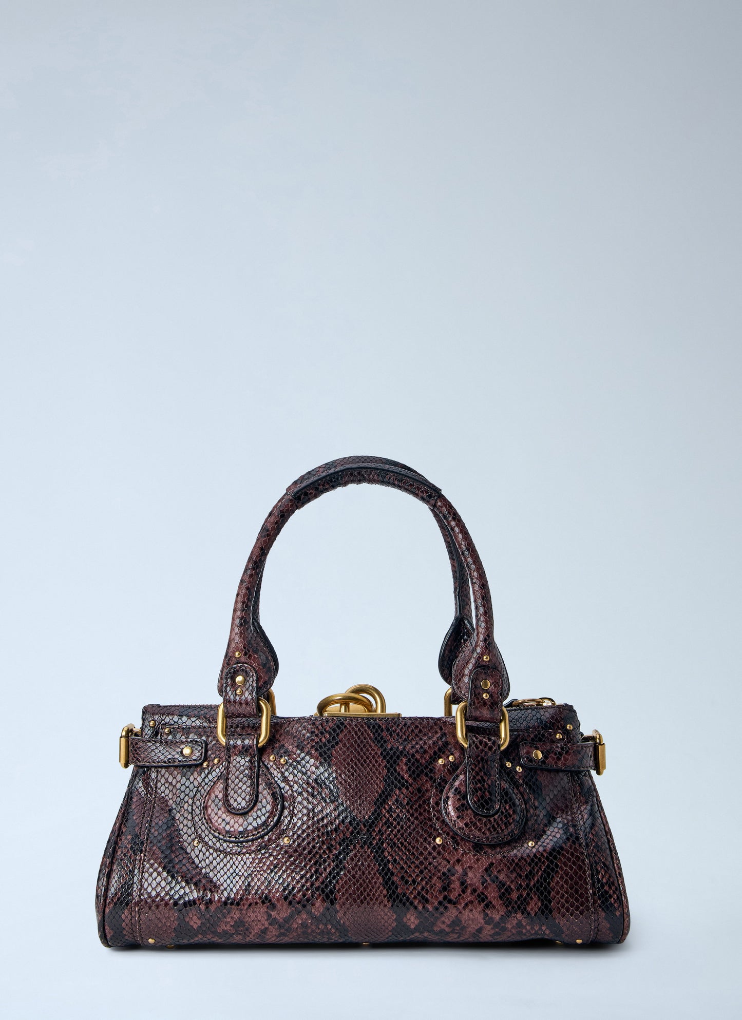 Chloé Women Paddington Embossed Python Effect Shoulder Bag
