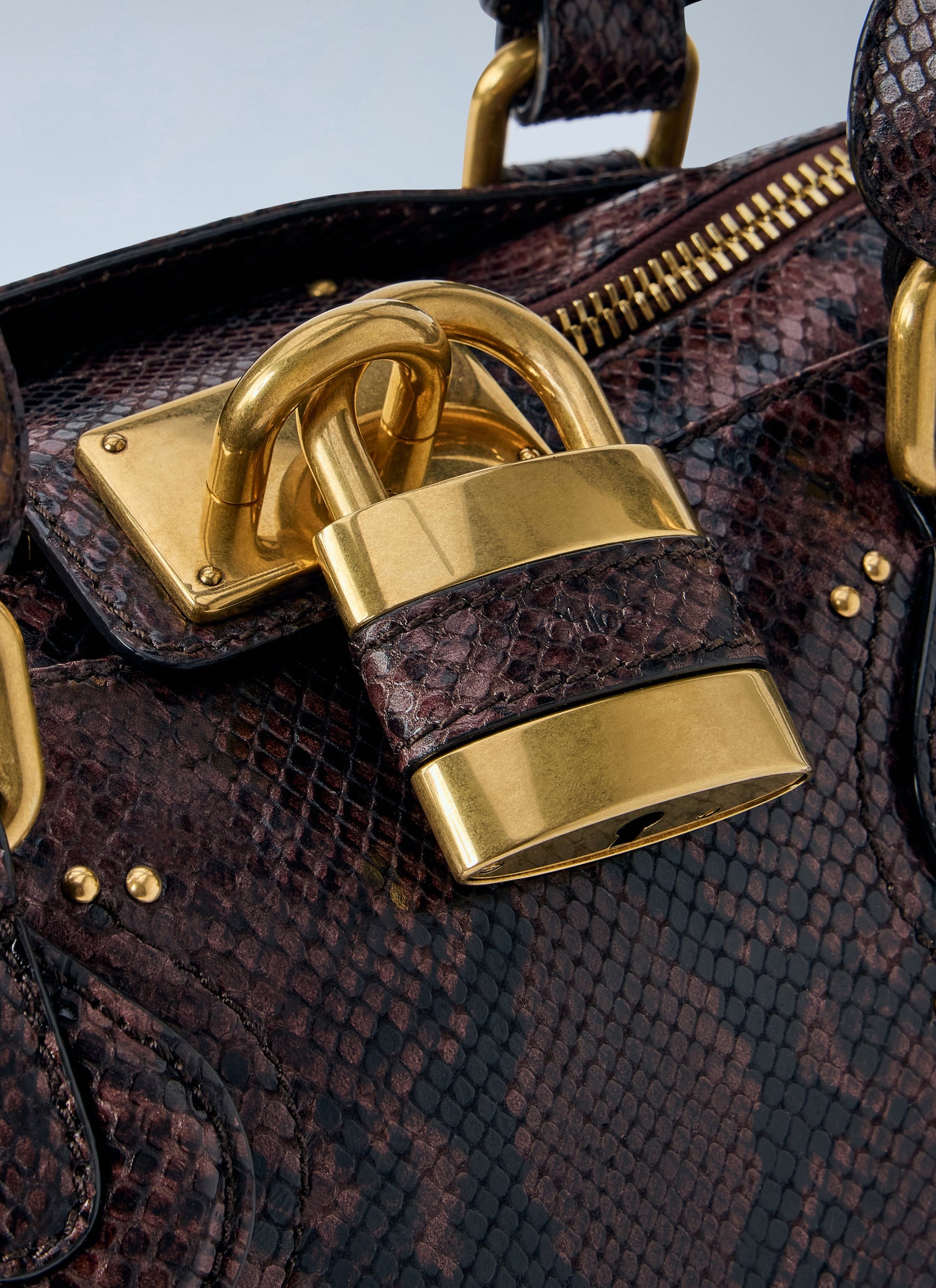 Chloé Women Paddington Embossed Python Effect Shoulder Bag