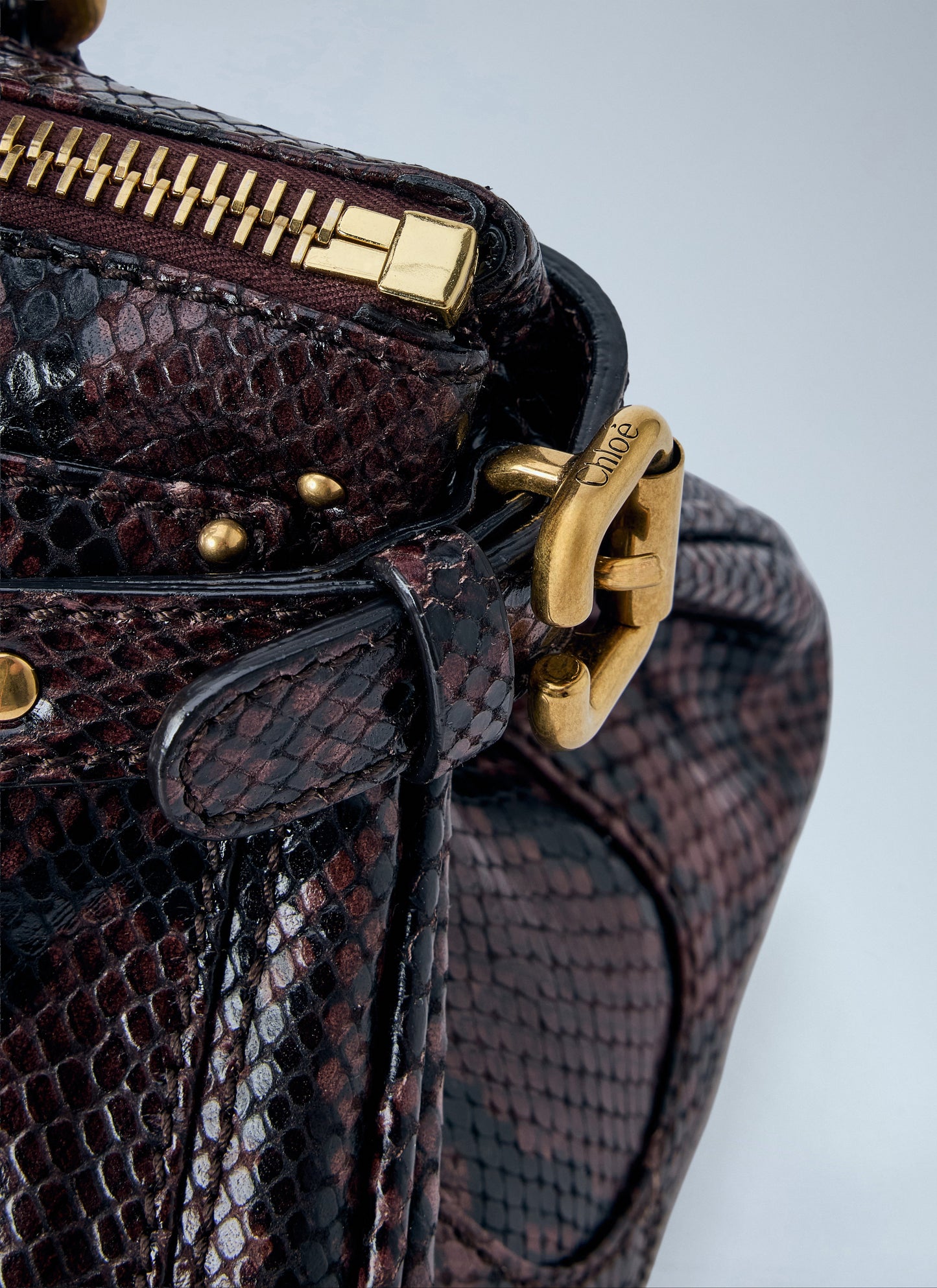 Chloé Women Paddington Embossed Python Effect Shoulder Bag