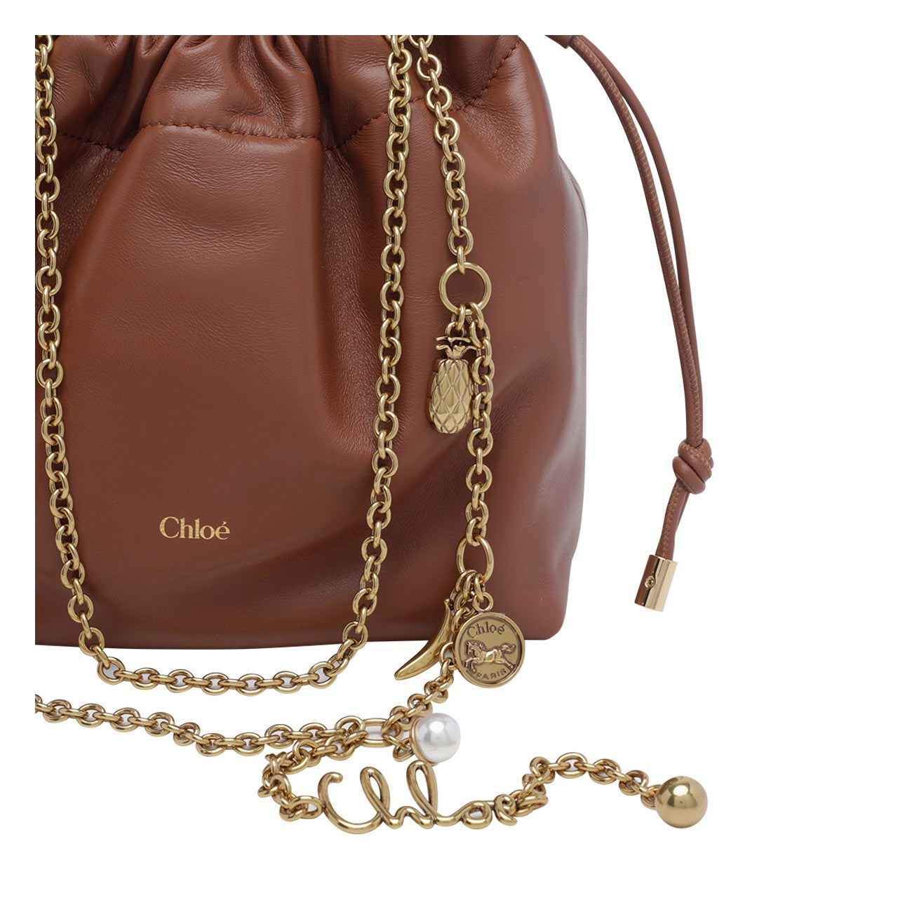 Chloe' Women Chloe' Icons Crossbody Bag CHLOE