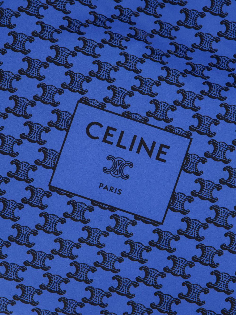 Celine Men Celine Padded Tote Bag CELINE
