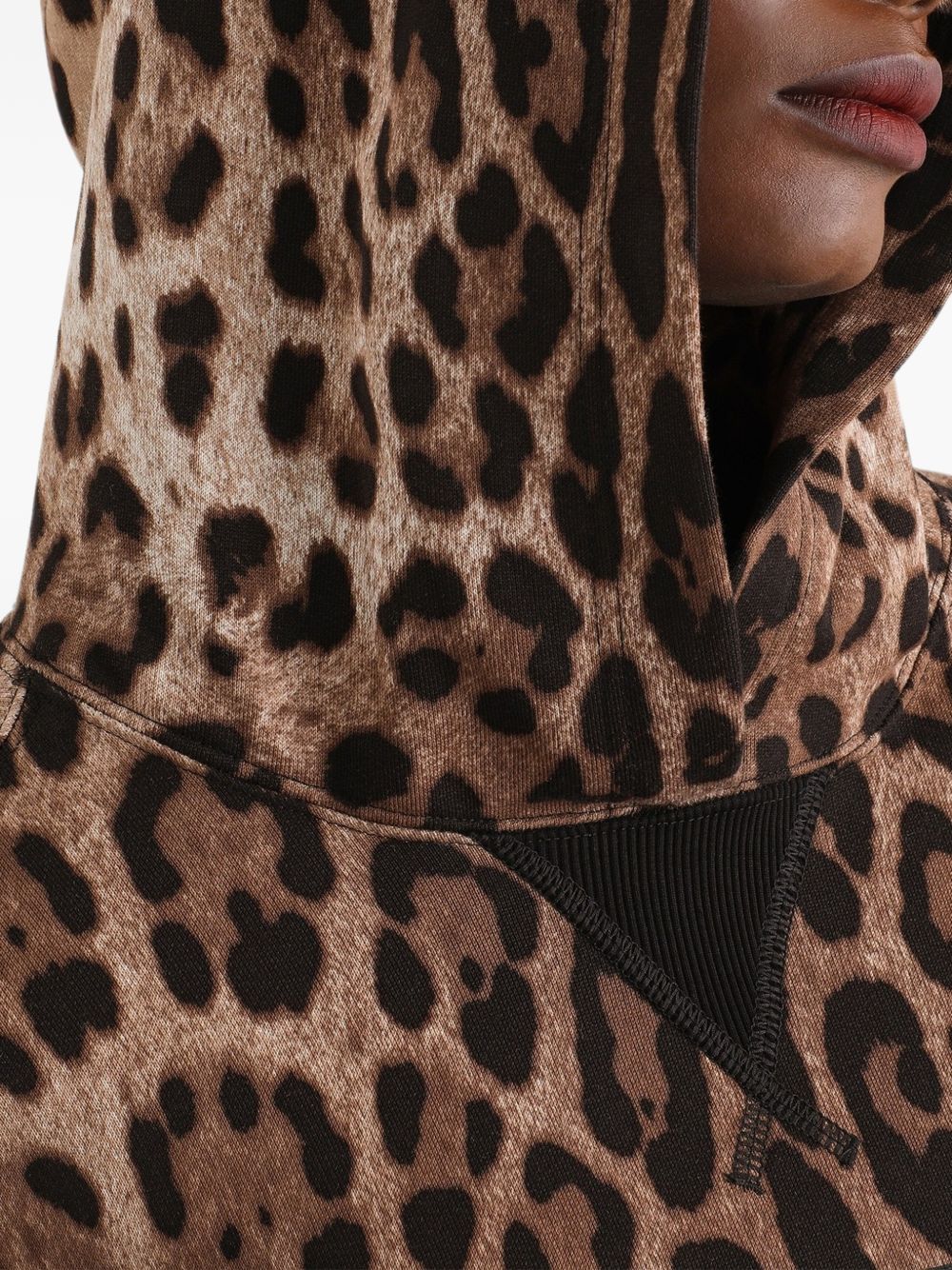 Dolce & Gabbana Women Leo Print Cotton Hoodie DOLCE & GABBANA
