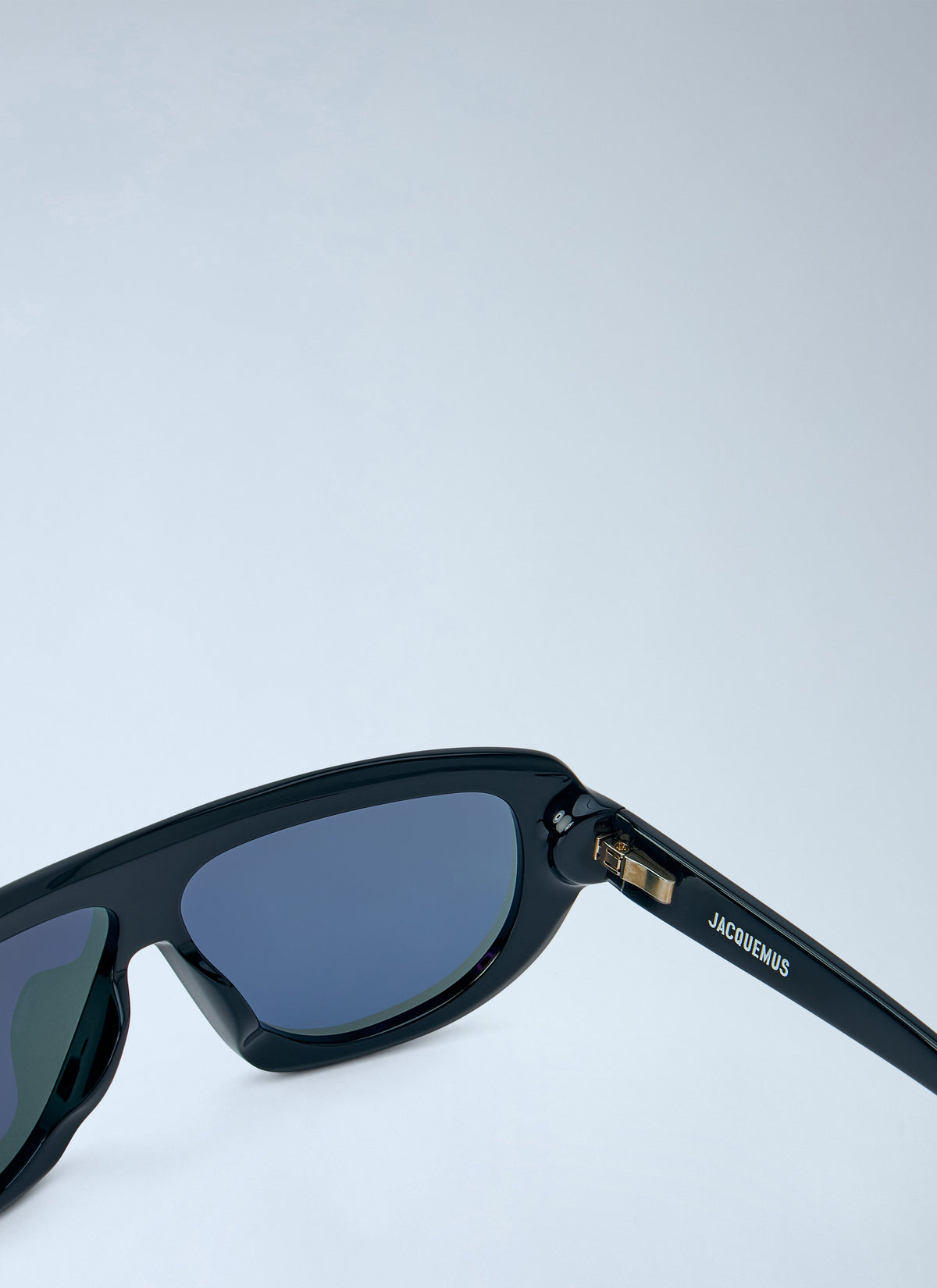 Jacquemus Women Havana Sunglasses