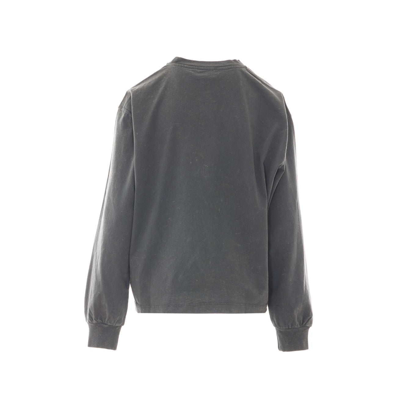 Ganni Women Logo Long Sleeves T-Shirt With Future Tiger Print GANNI