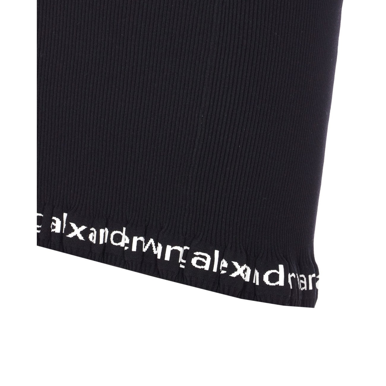 Alexander Wang Women Logo Mini Skirt ALEXANDER WANG
