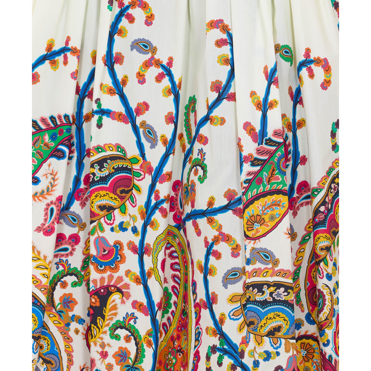 Etro Women Paisley Floral Placed Print Midi Plisse' Skirt ETRO