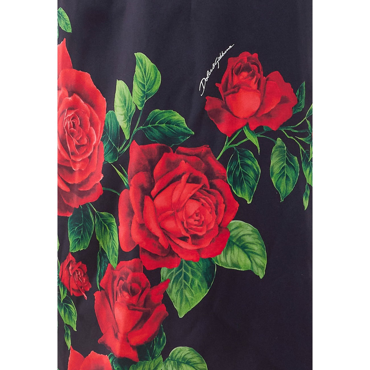 Dolce&Gabbana Women Roses Print Satin Dress DOLCE & GABBANA