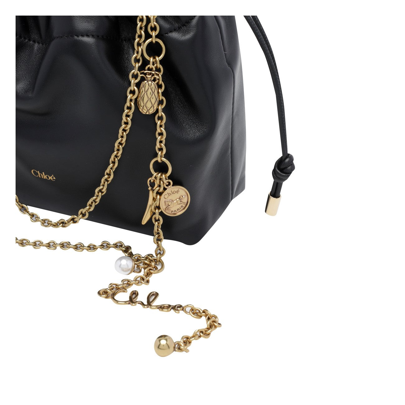Chloe' Women Small Chloe' Icons Crossbody Bag CHLOE