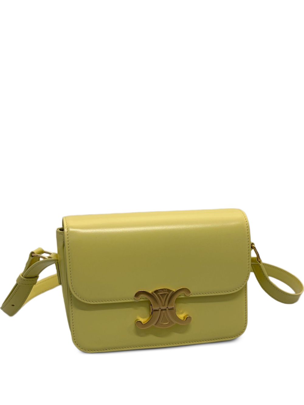 Celine Women Triomphe Teen Leather Crossbody Bag CELINE