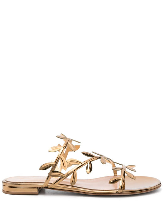 Gianvito Rossi Women Flavia Flat Sandals