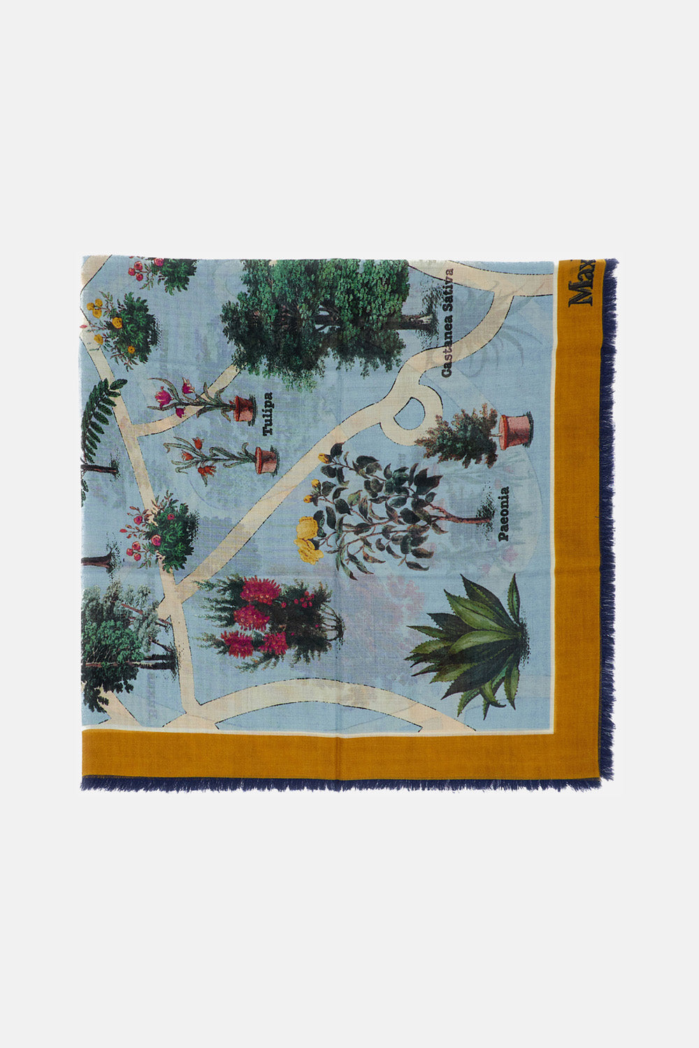 Max Mara Women Scarf MAX MARA
