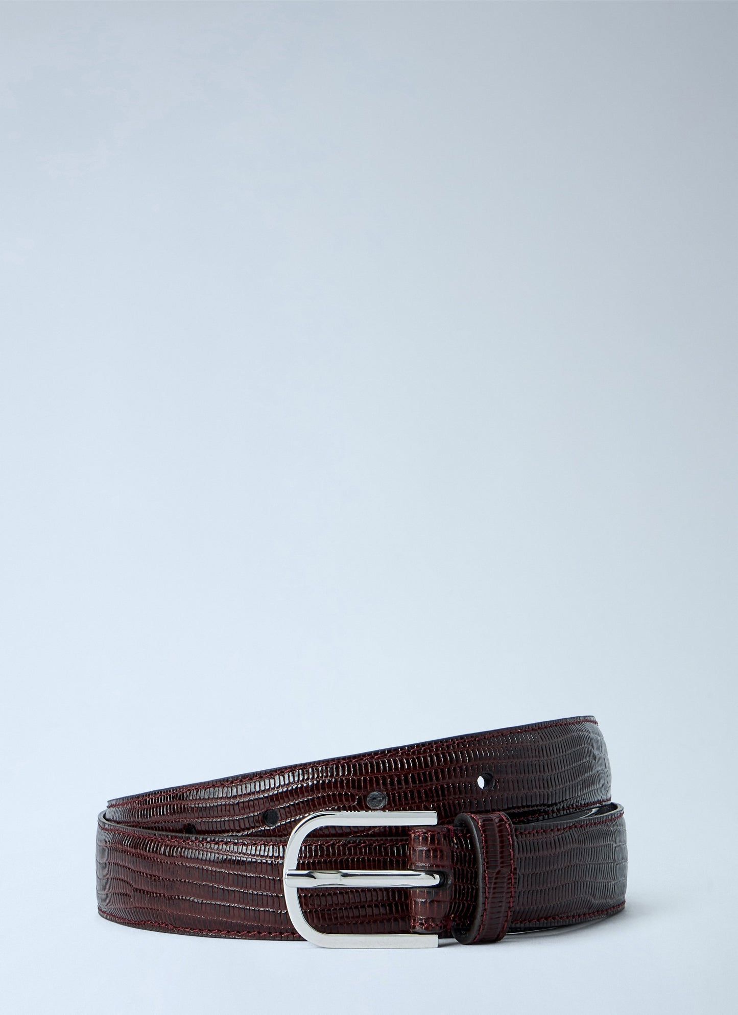 Toteme Women Slim Lizard-Embossed Belt TOTEME